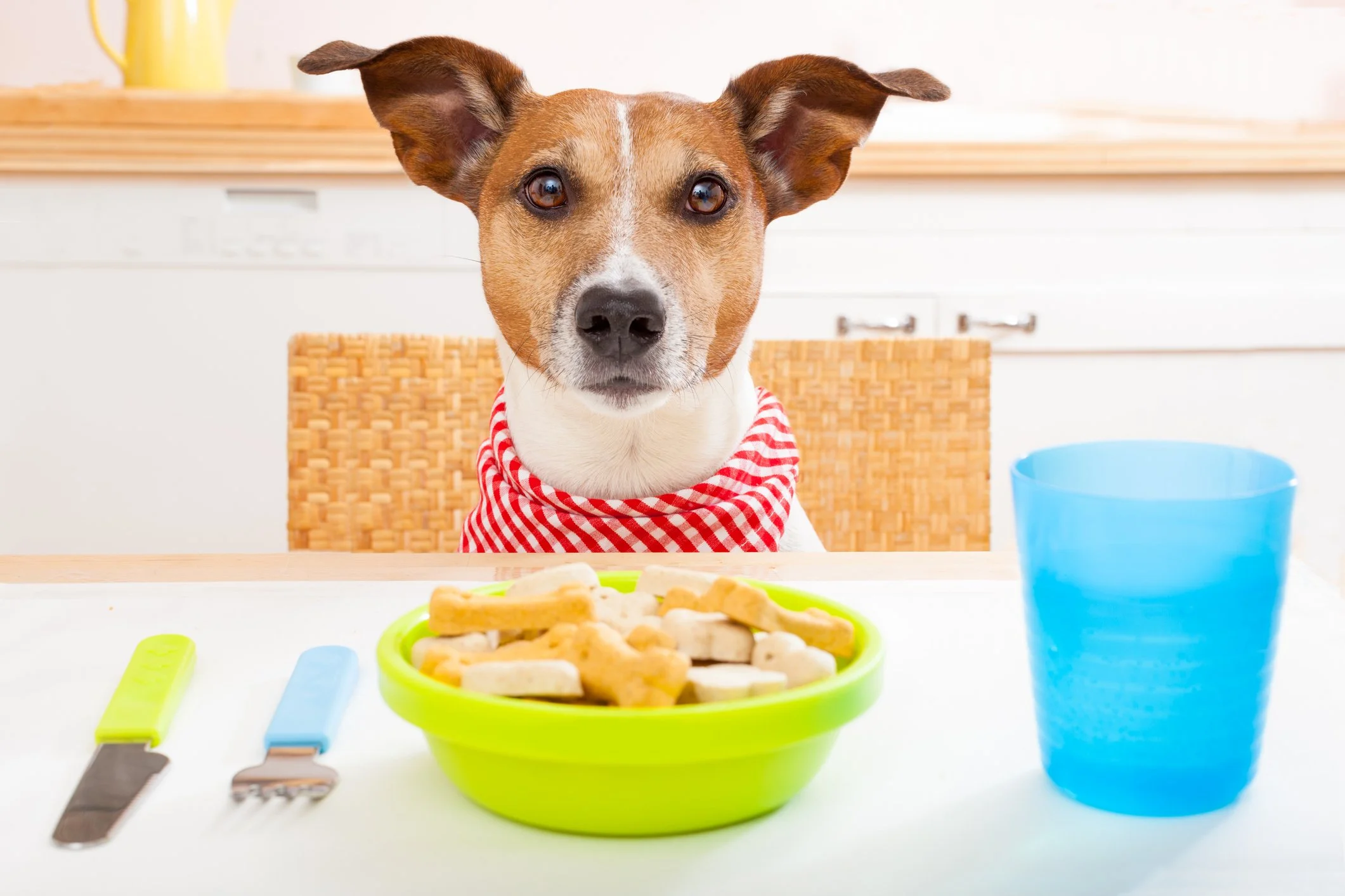 Yappy Hour