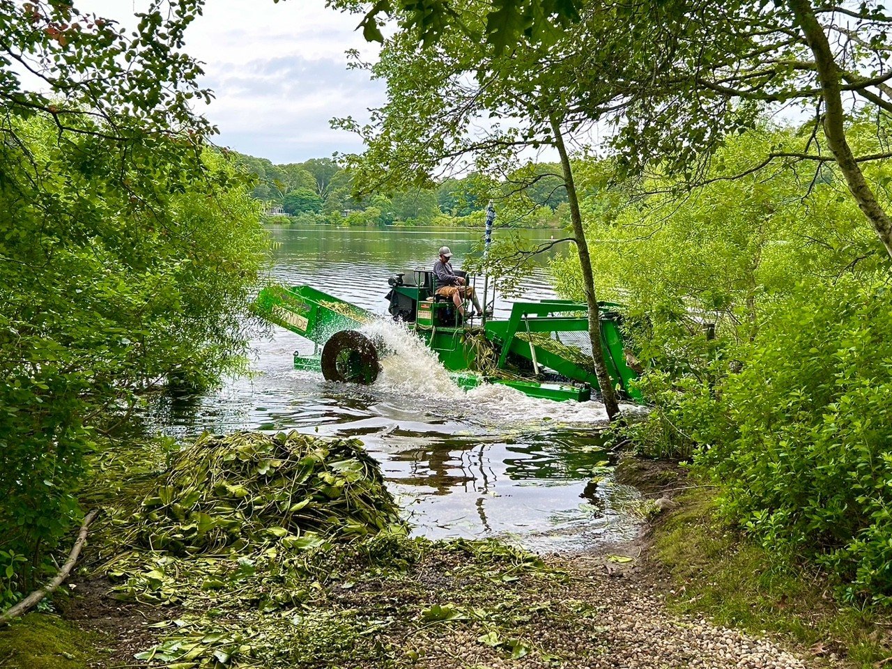 After the cleanup, what remains?