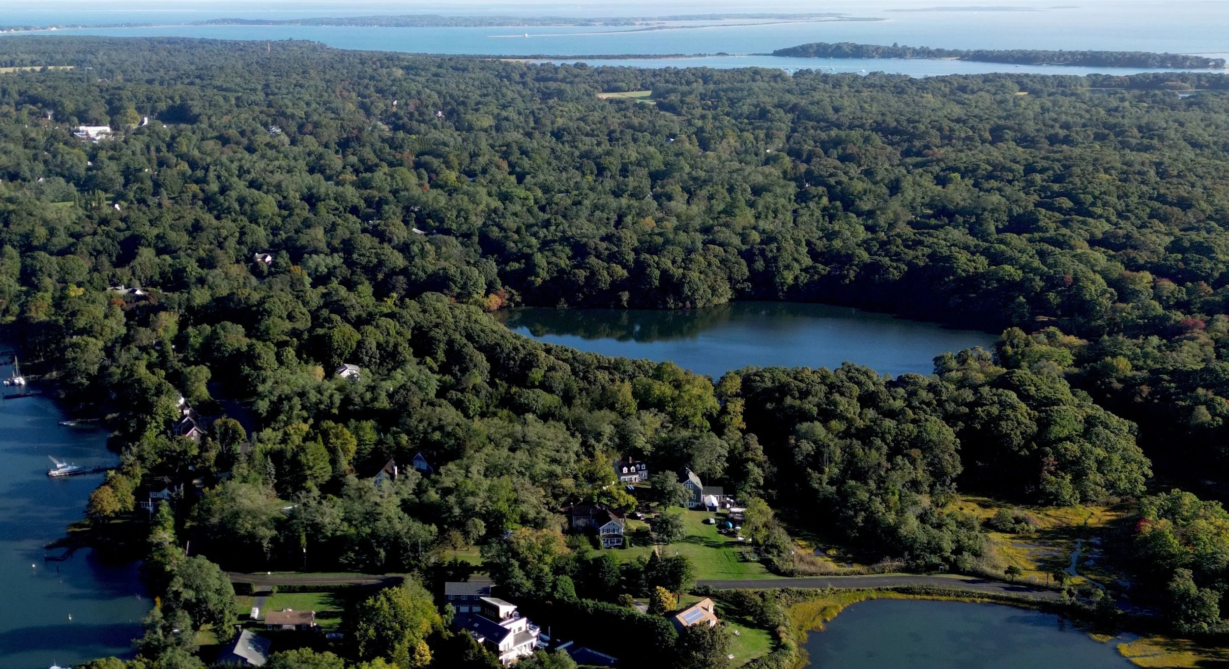 Continuing increase in clarity and freshness