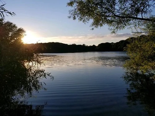 Fresh Pond responds with measured clarity over 6 feet 
