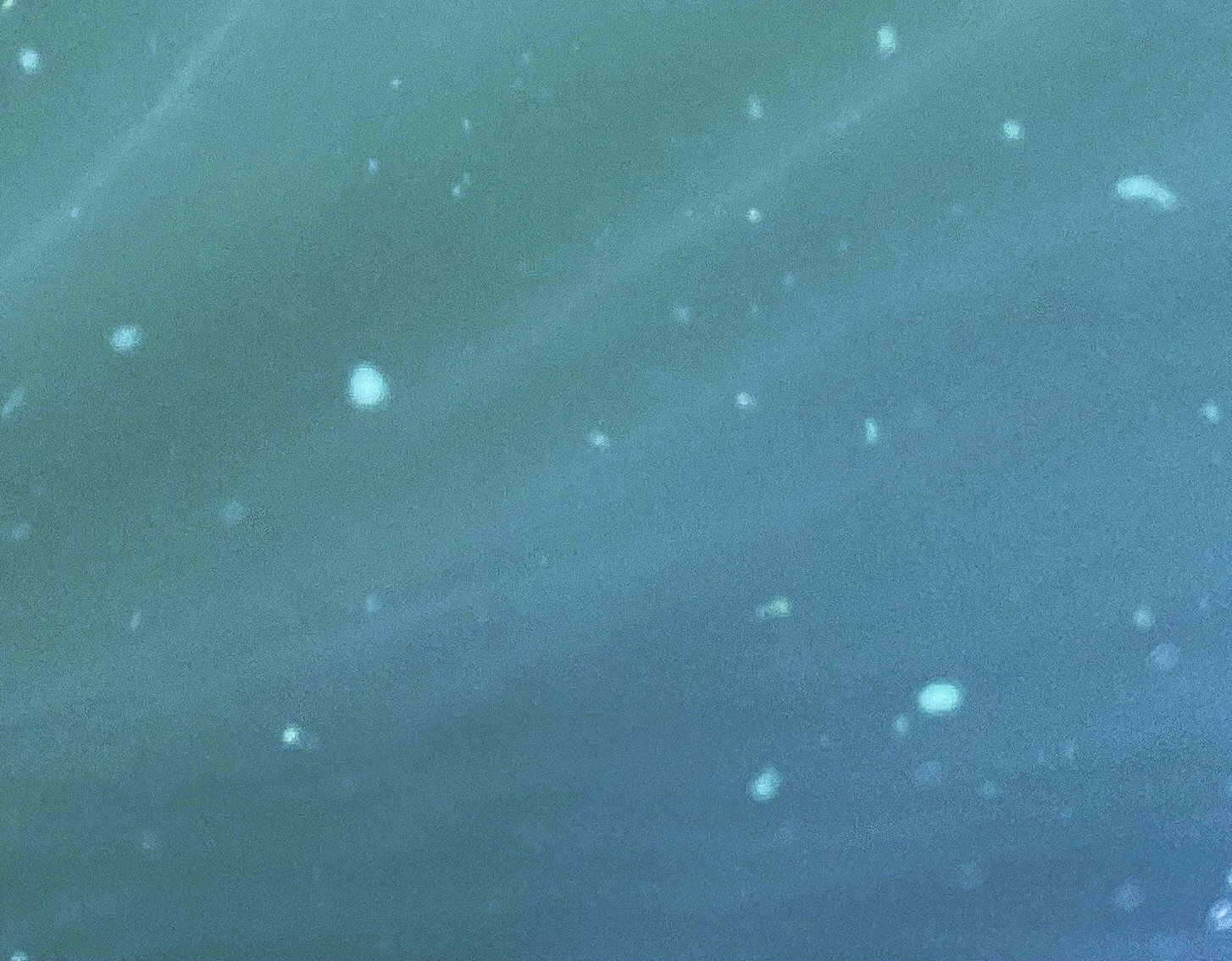 Monday blues.  Sightings of blue/green algae.