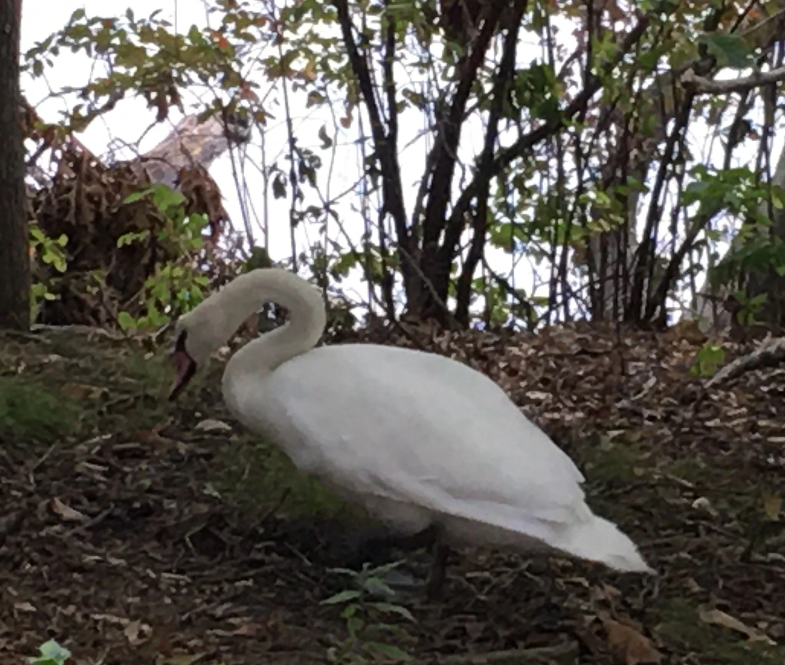 Mixed conditions since Erin passed though