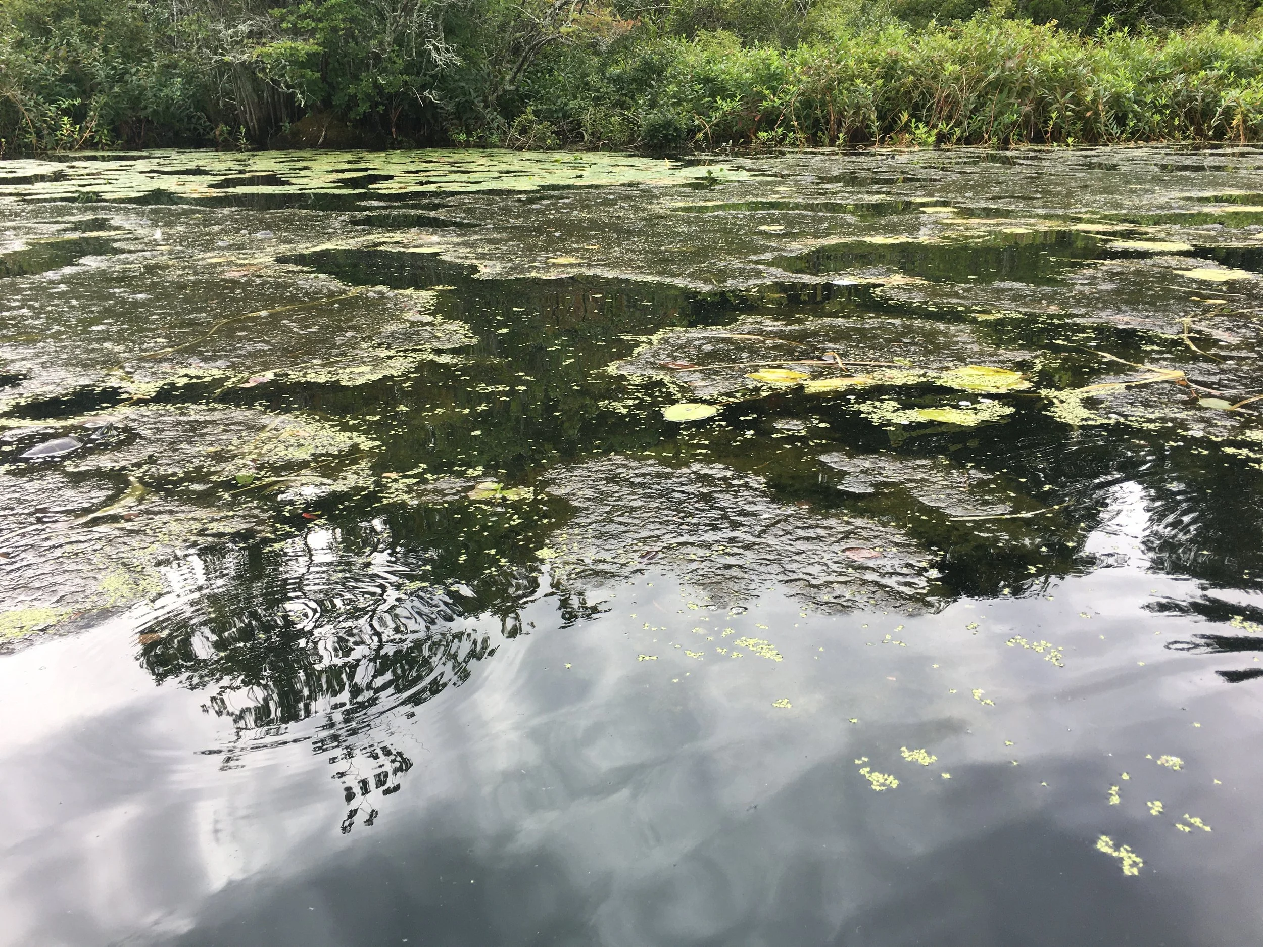 Clear open water, but...