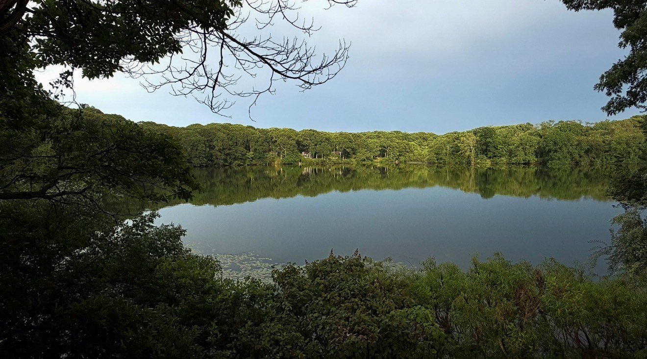 Fresh Pond Assessment