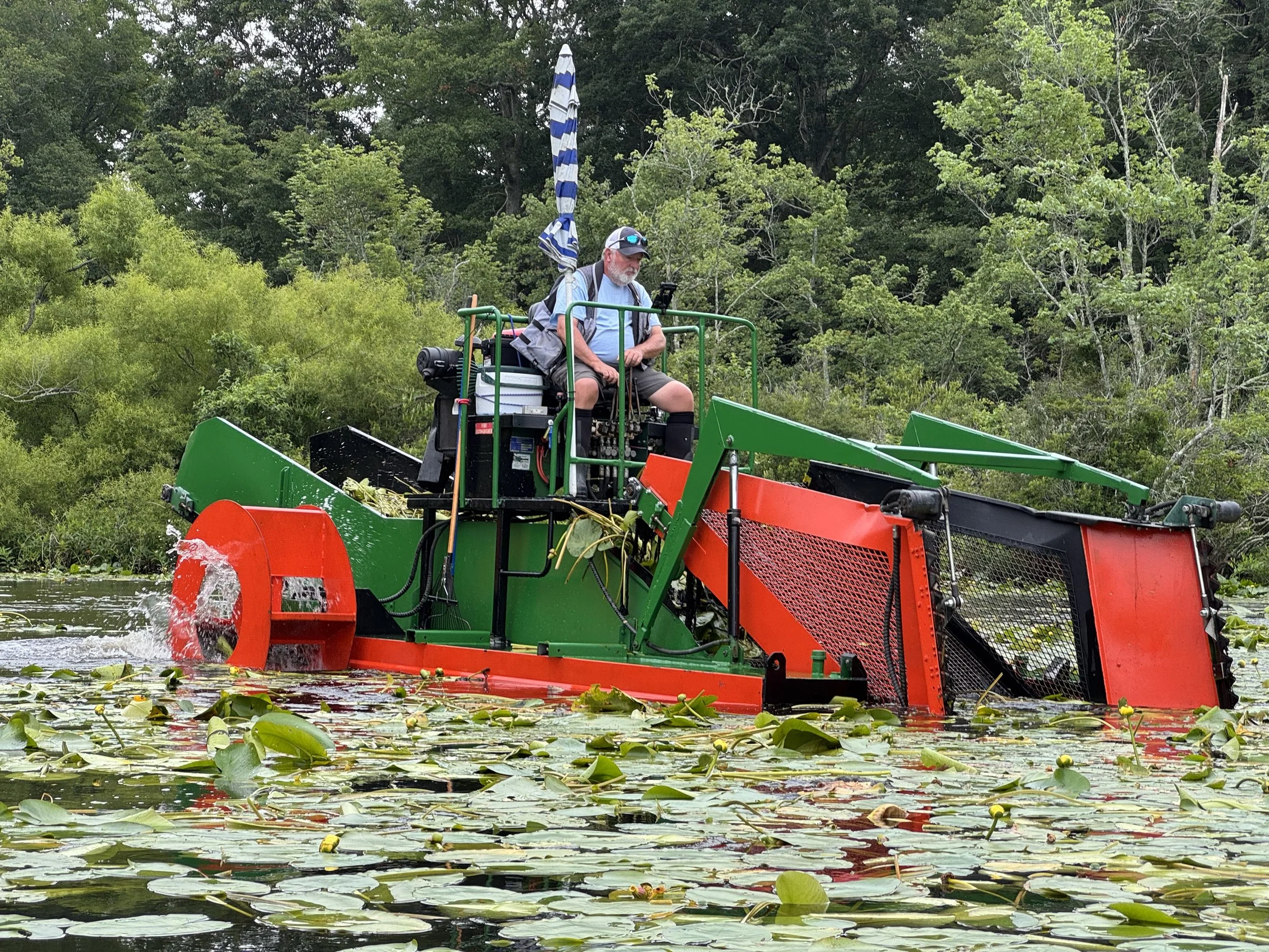 Short term cleanup underway