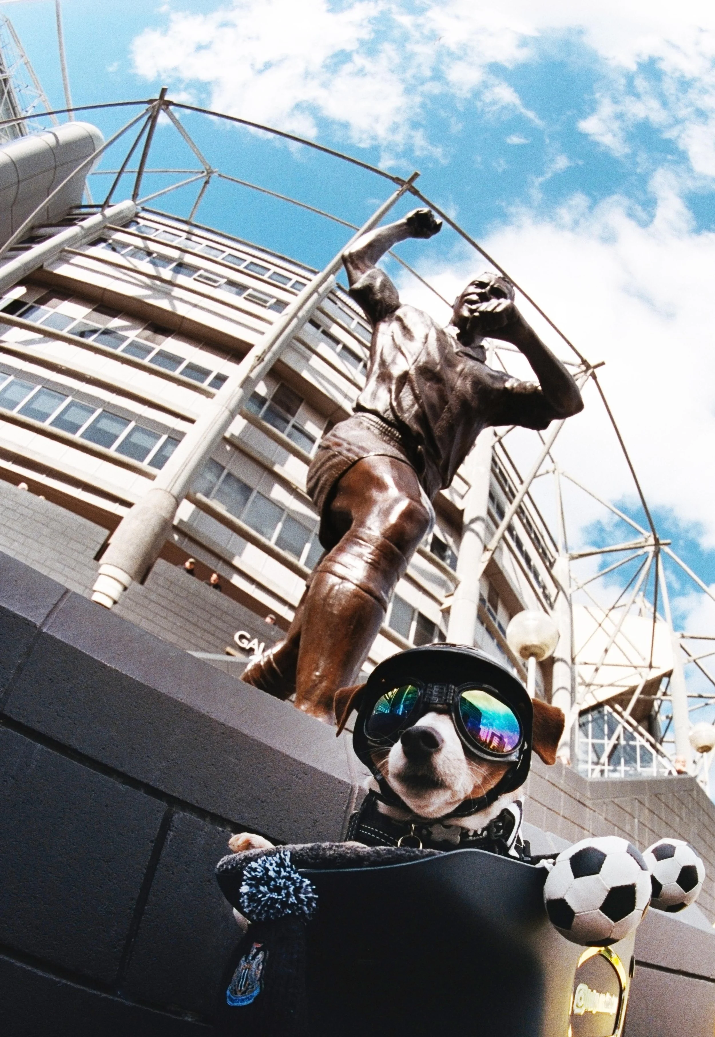 FO-NUFC-MEMBERSHIPS-40.jpg