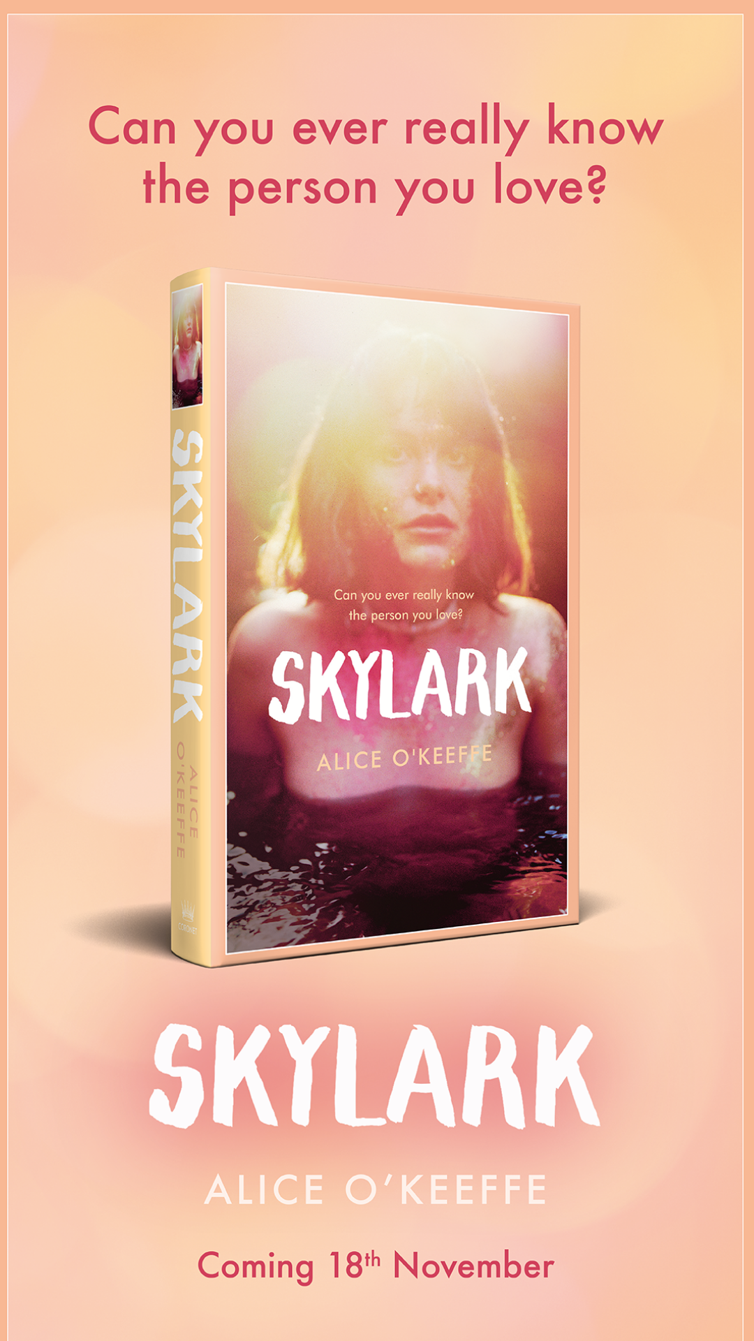 skylark ig stories .png