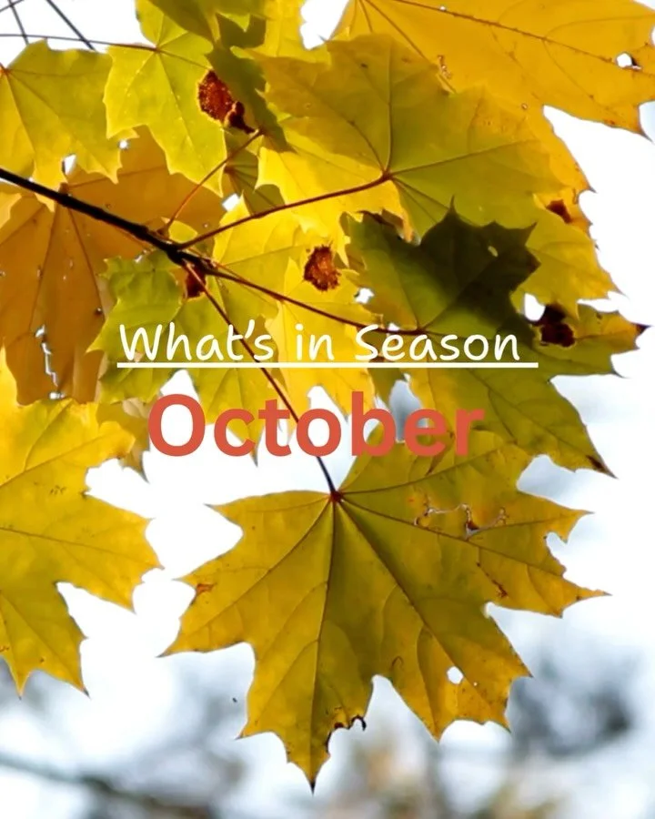 ✨ October Recipes ⬇️ ✨

October always feels like a month of letting go, releasing what we no longer need and allowing ourselves to glow from the inside out.

As we move into this new season, it&rsquo;s a time to go gently, to restore balance, streng