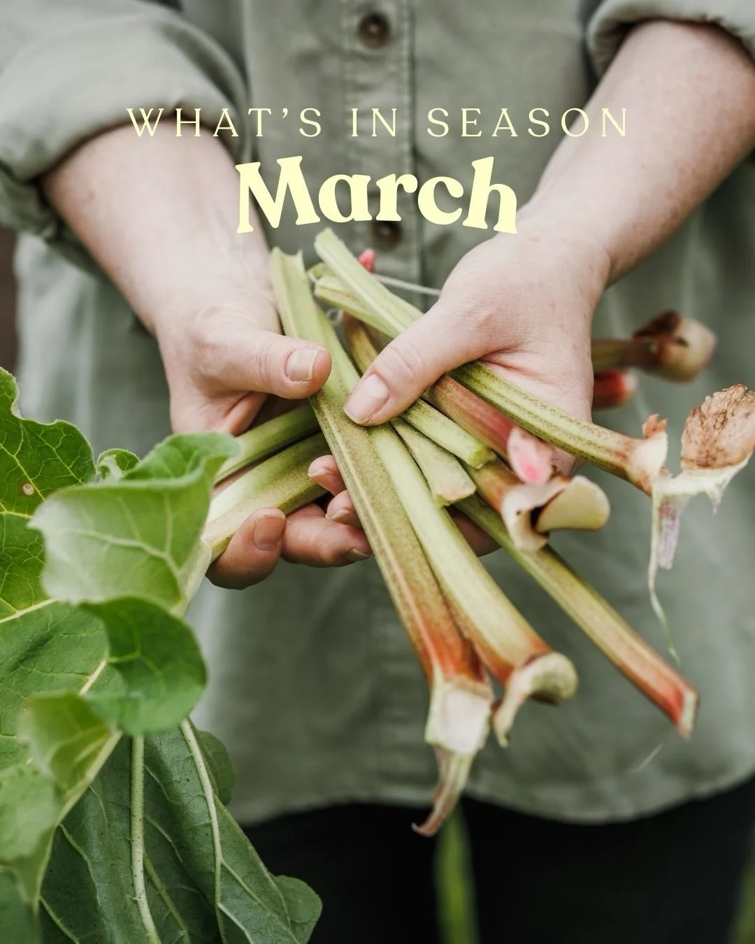 Hello March! 🌿☀️ 

The sun is shining, the days are getting longer, and nature is giving us some seriously delicious, nutrient-packed produce to enjoy!

Eating seasonally isn&rsquo;t just good for the planet it&rsquo;s great for our gut, energy, and