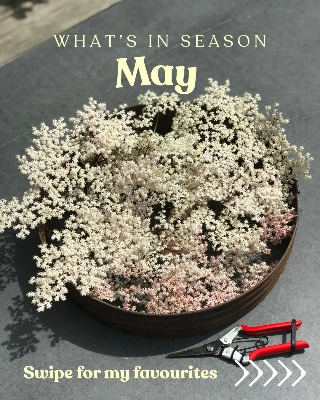 What&rsquo;s In Season in the UK During May 🌿

May bursts onto the plate with vibrant colours, tender textures, and fresh spring flavours &mdash; this is the month to really eat green and celebrate seasonal eating.

Here&rsquo;s what&rsquo;s in seas