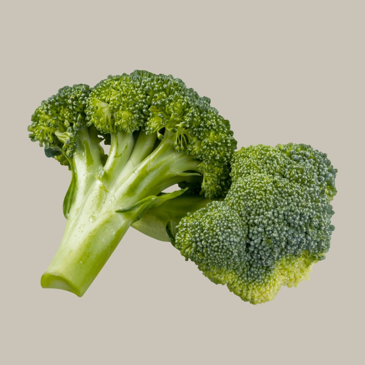 Broccoli Powder — Wavelength
