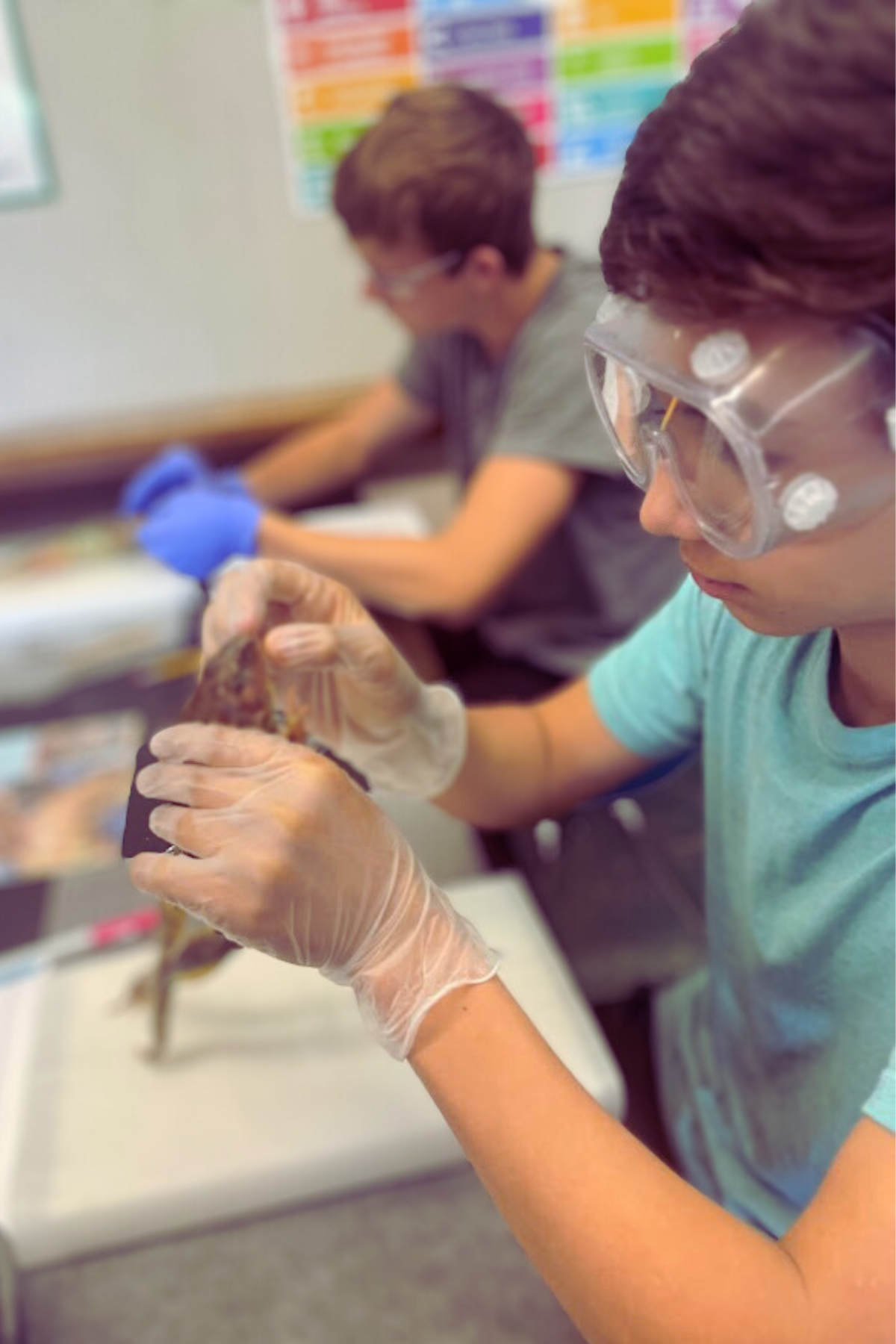 Students in Science class