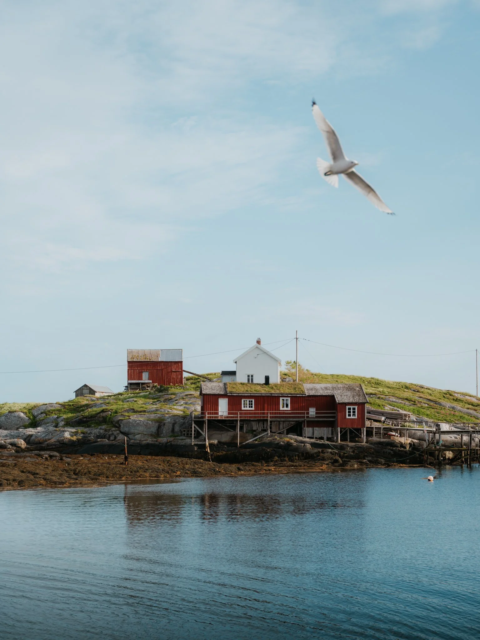 Ellen Homstad tourism destination shoot-09.jpg