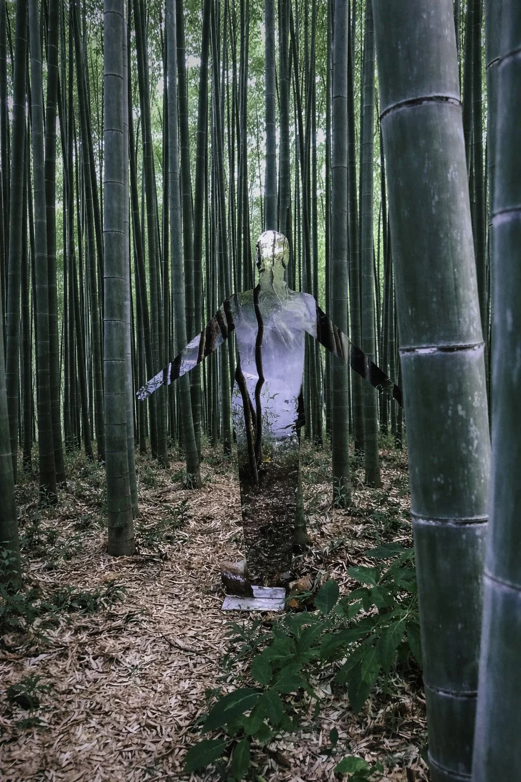 bamboo copy.jpg