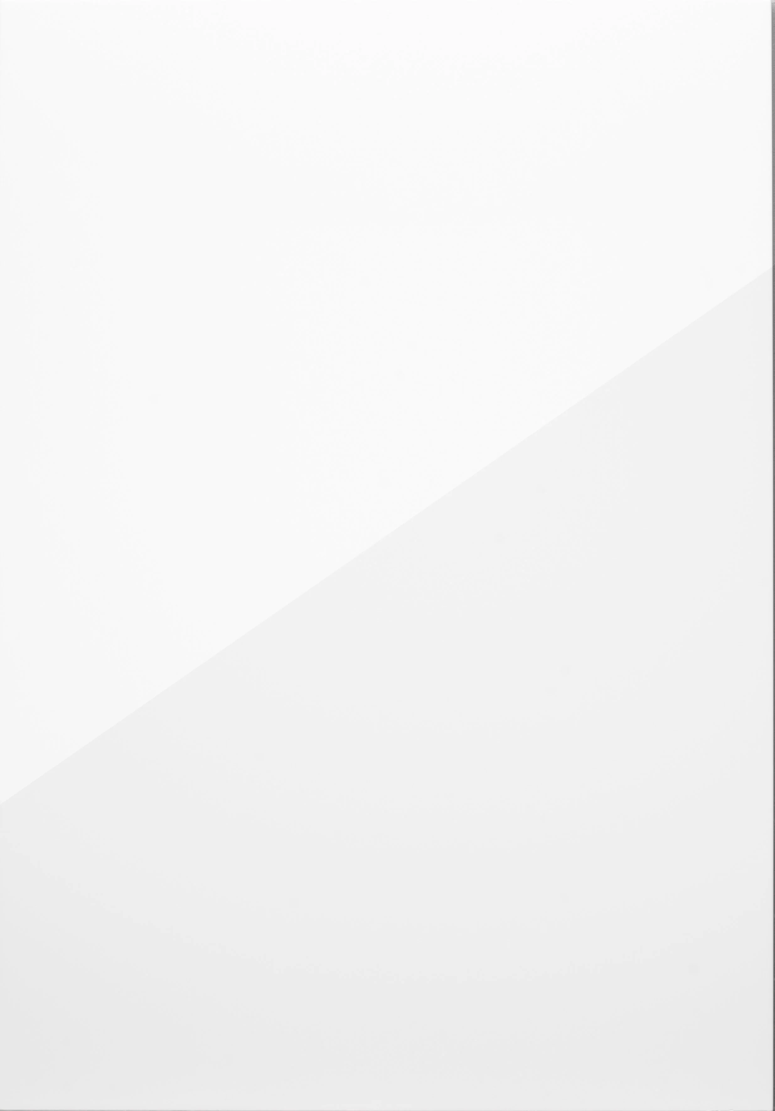 Minimalist artwork featuring two shades of white divided diagonally.
