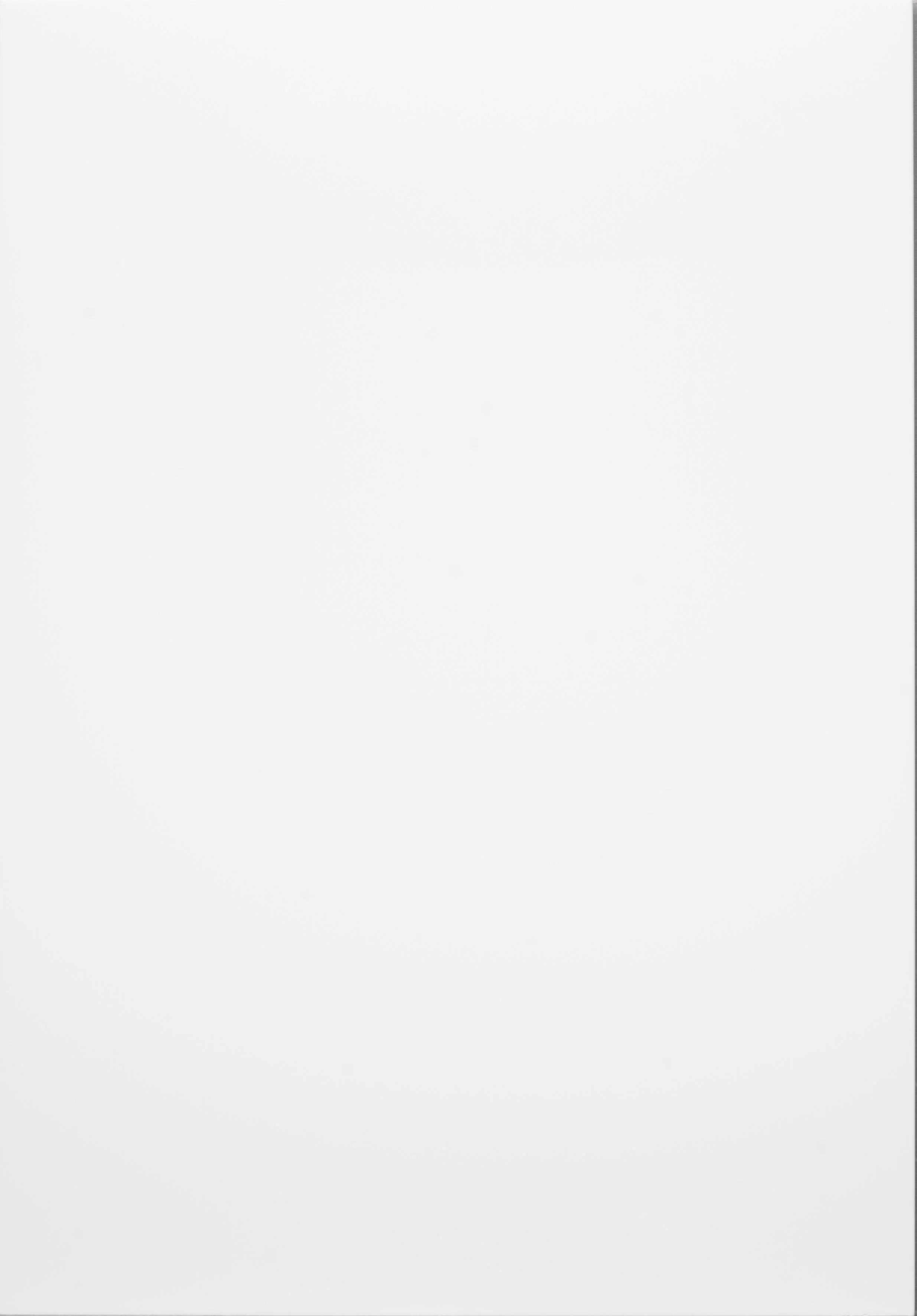 Plain white surface with subtle texture.