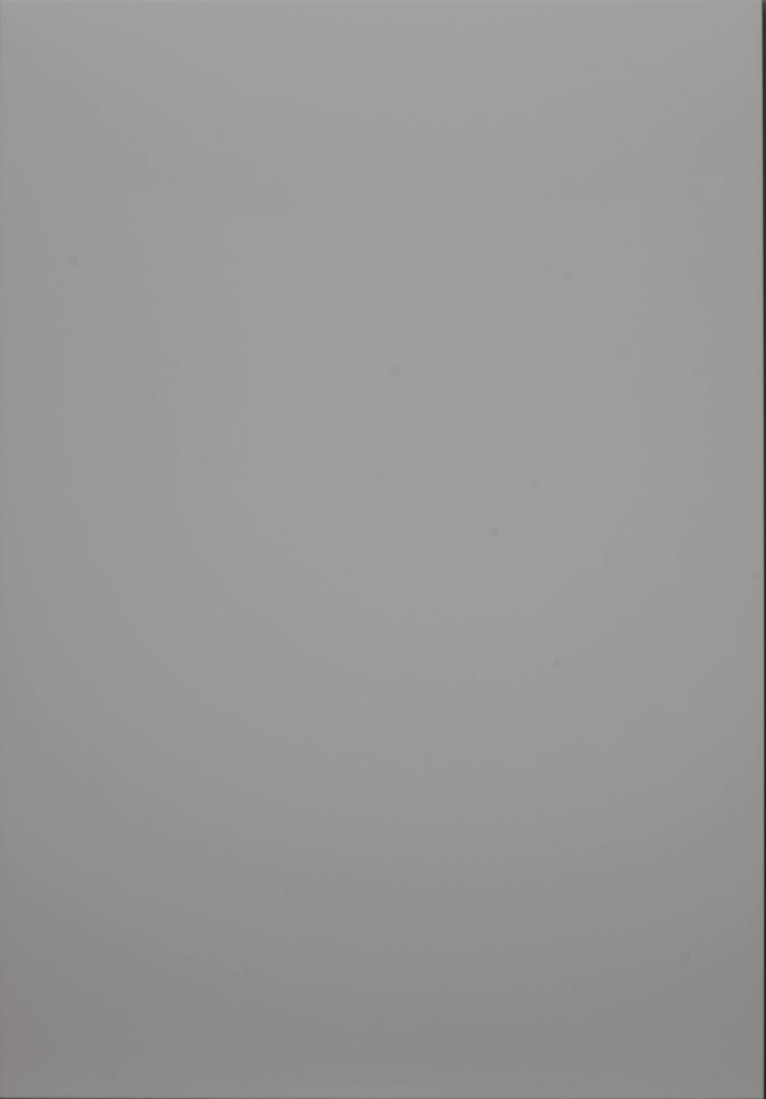 Silver Grey