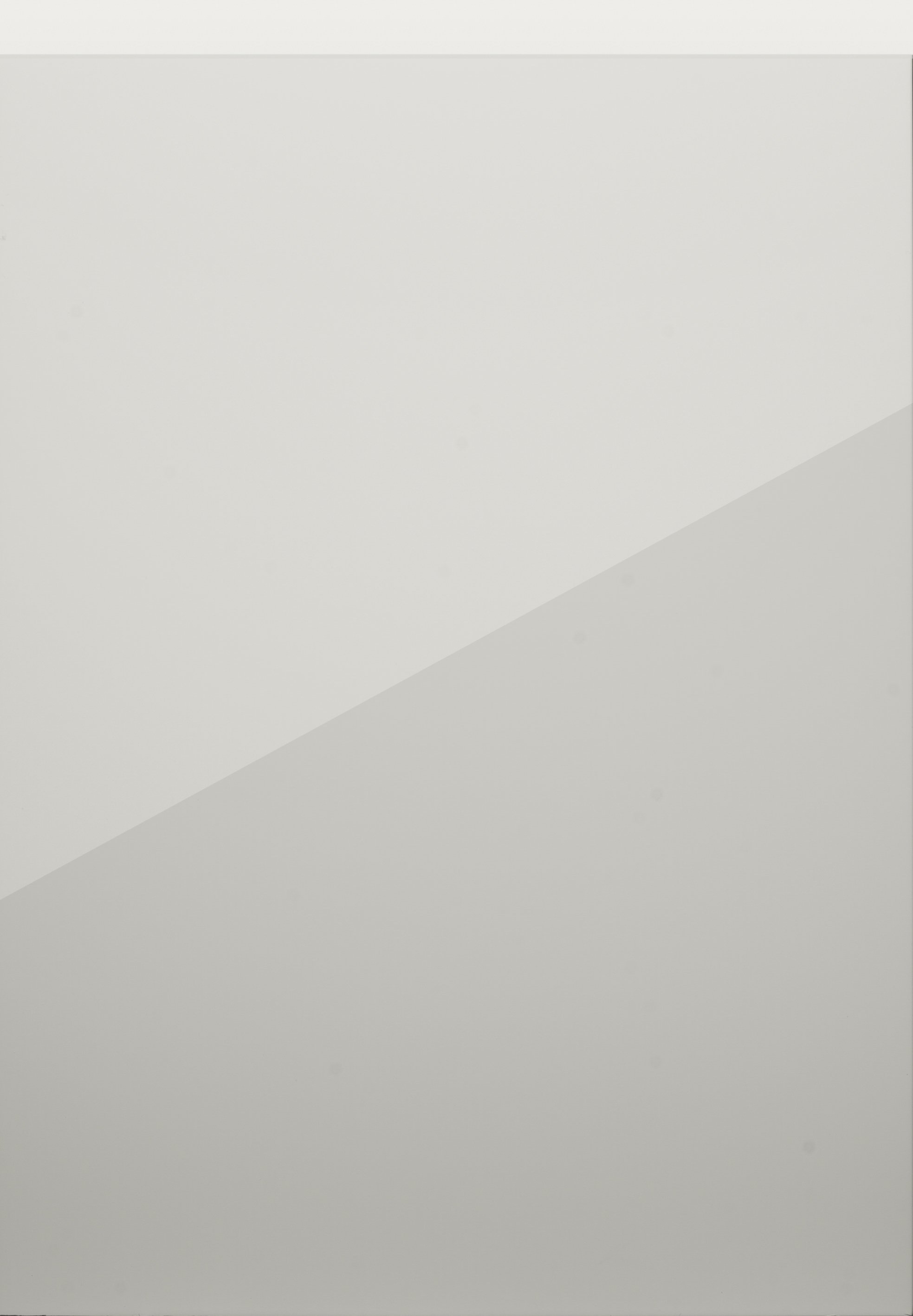 Remo Dove Grey Gloss.jpg