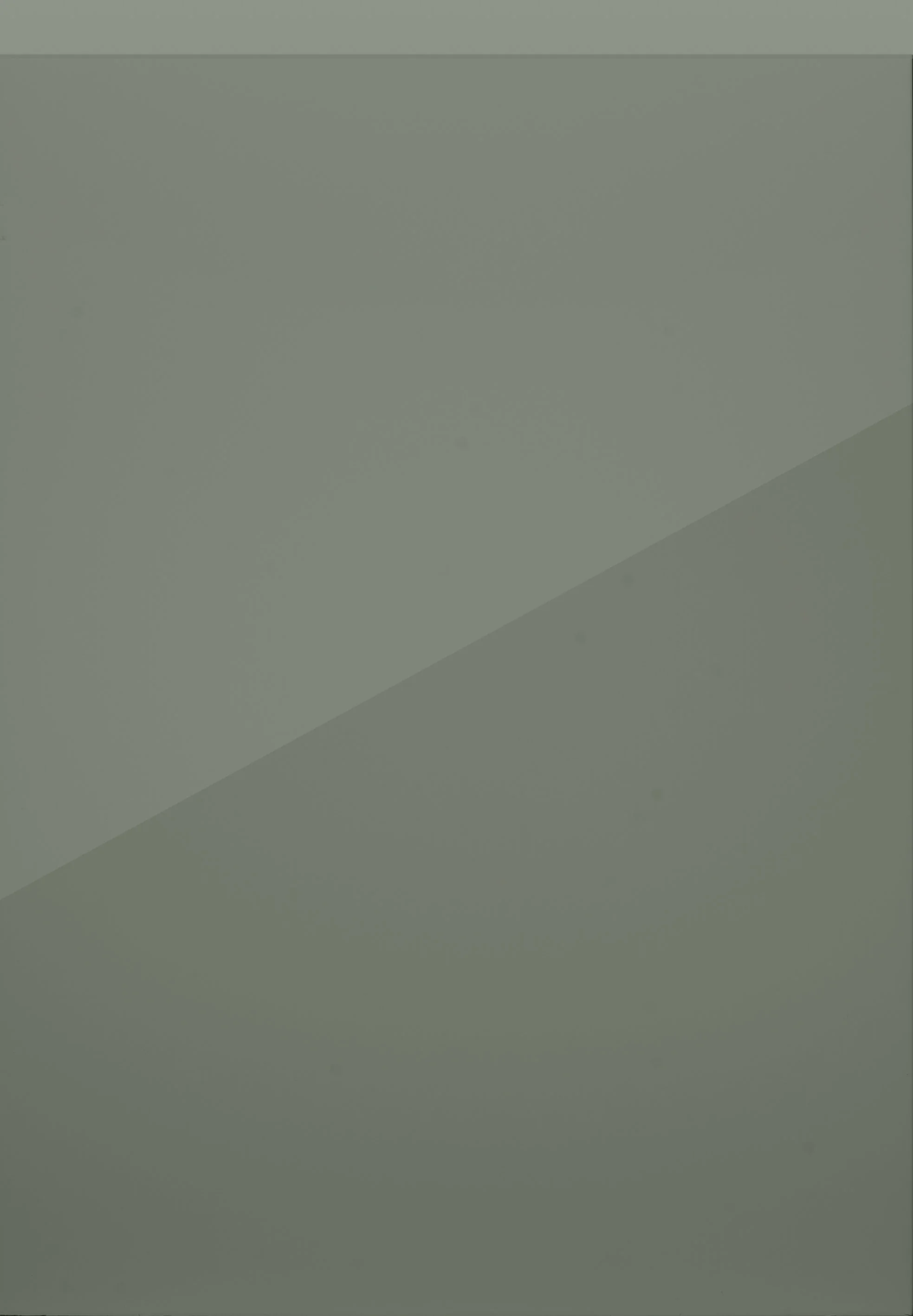 Remo Regiment Gloss.jpg