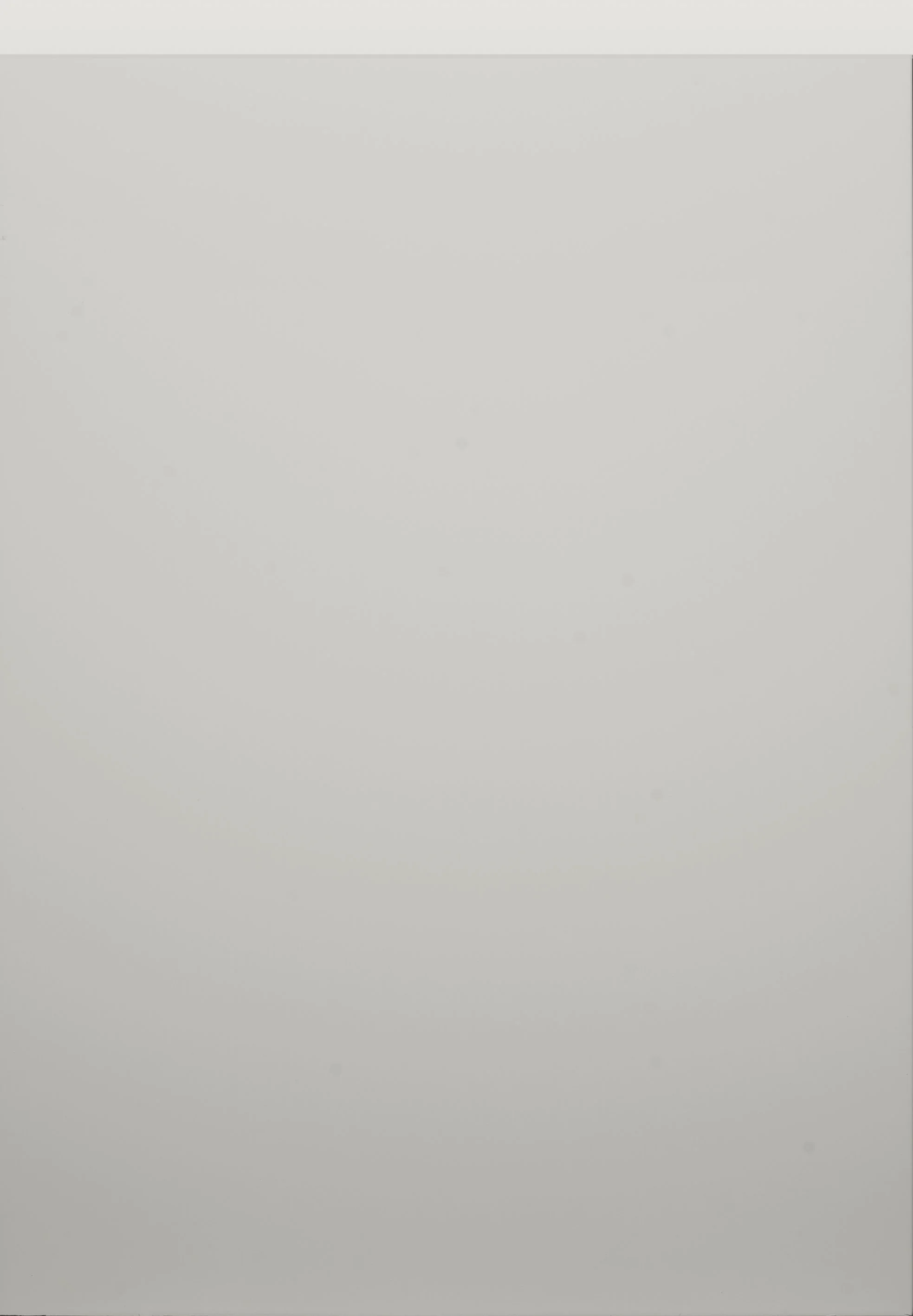Remo Dove Grey Matt.jpg