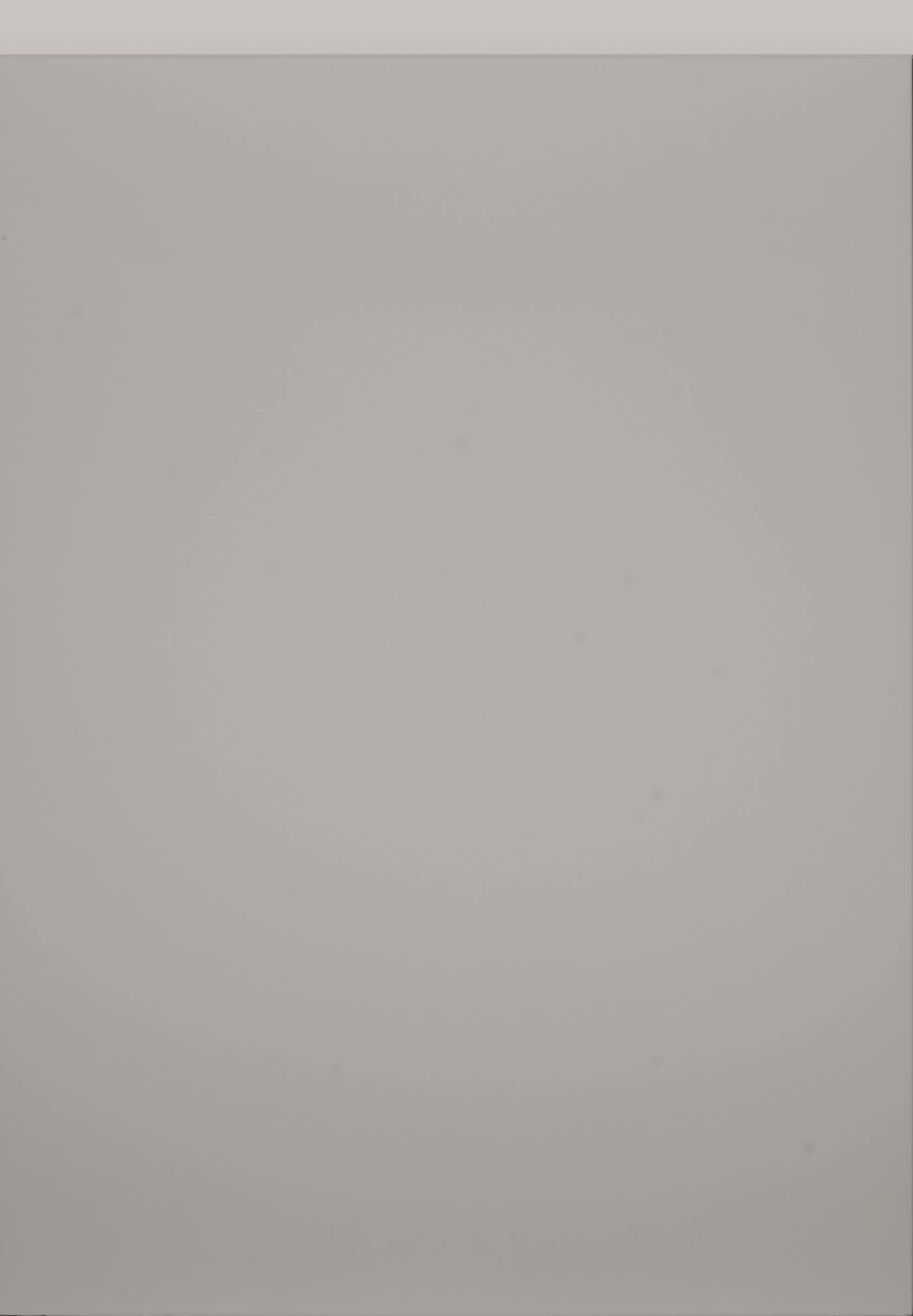 Remo Cashmere Matt.jpg
