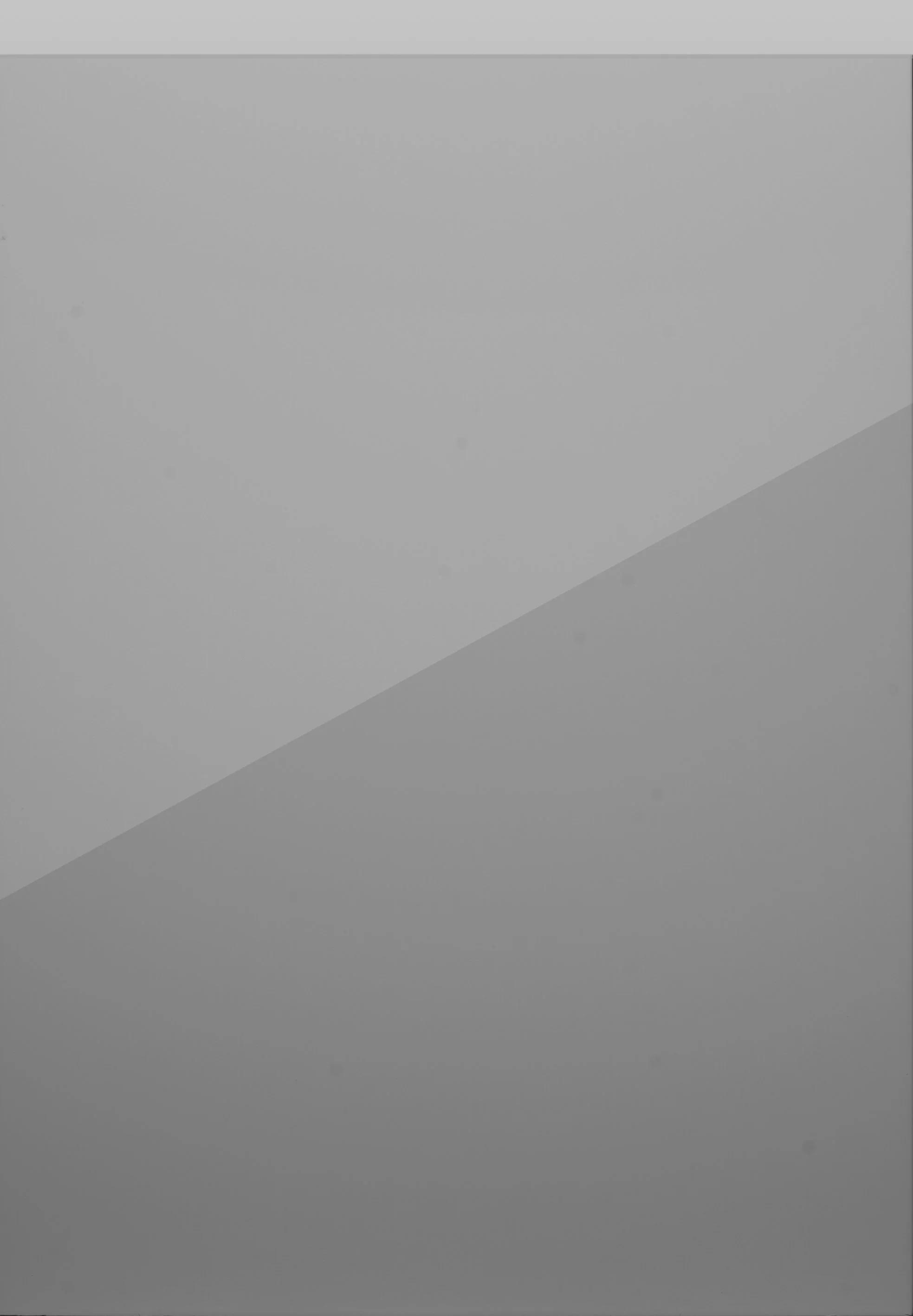 Remo Silver Grey Gloss.jpg