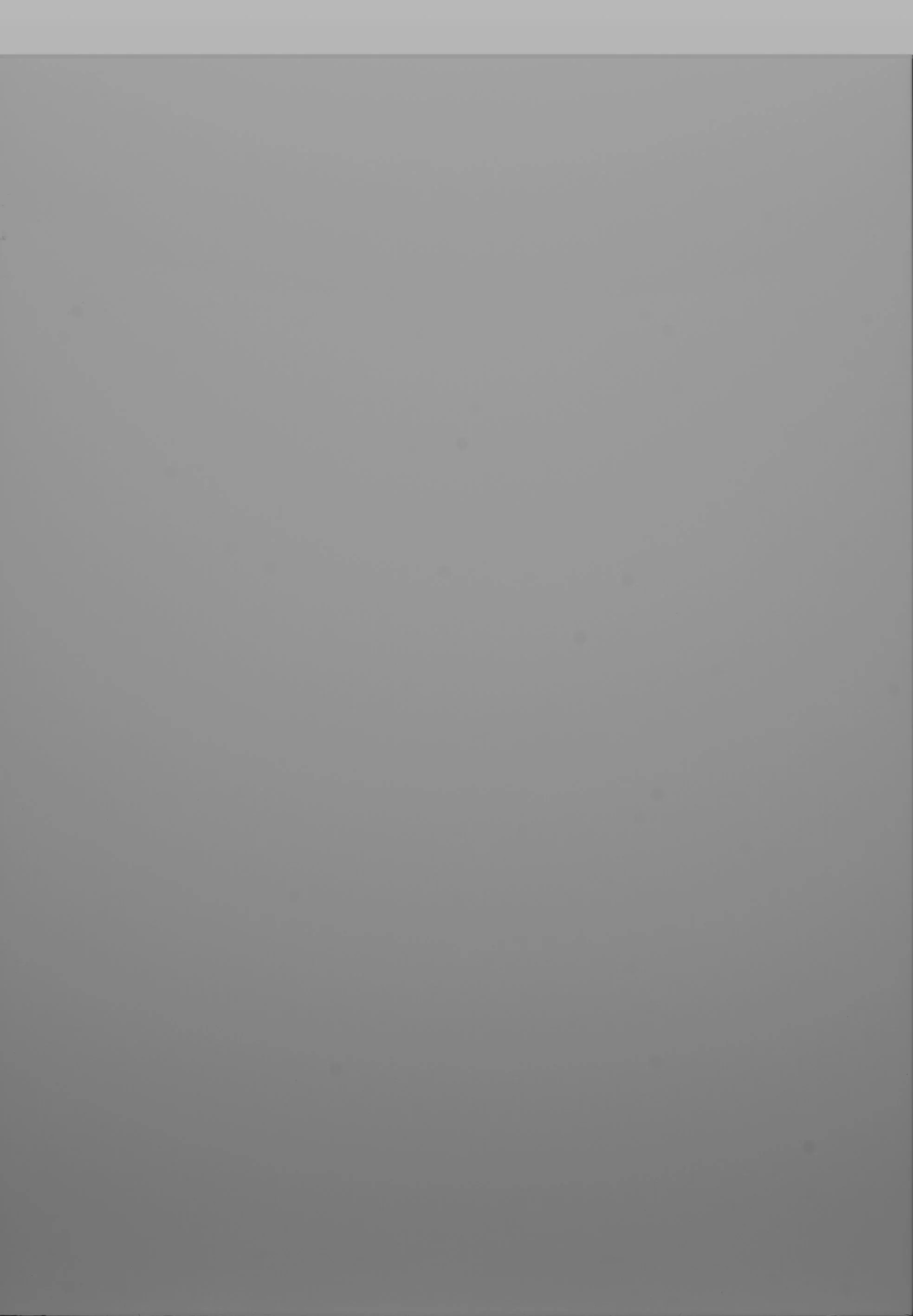 Remo Silver Grey Matt.jpg