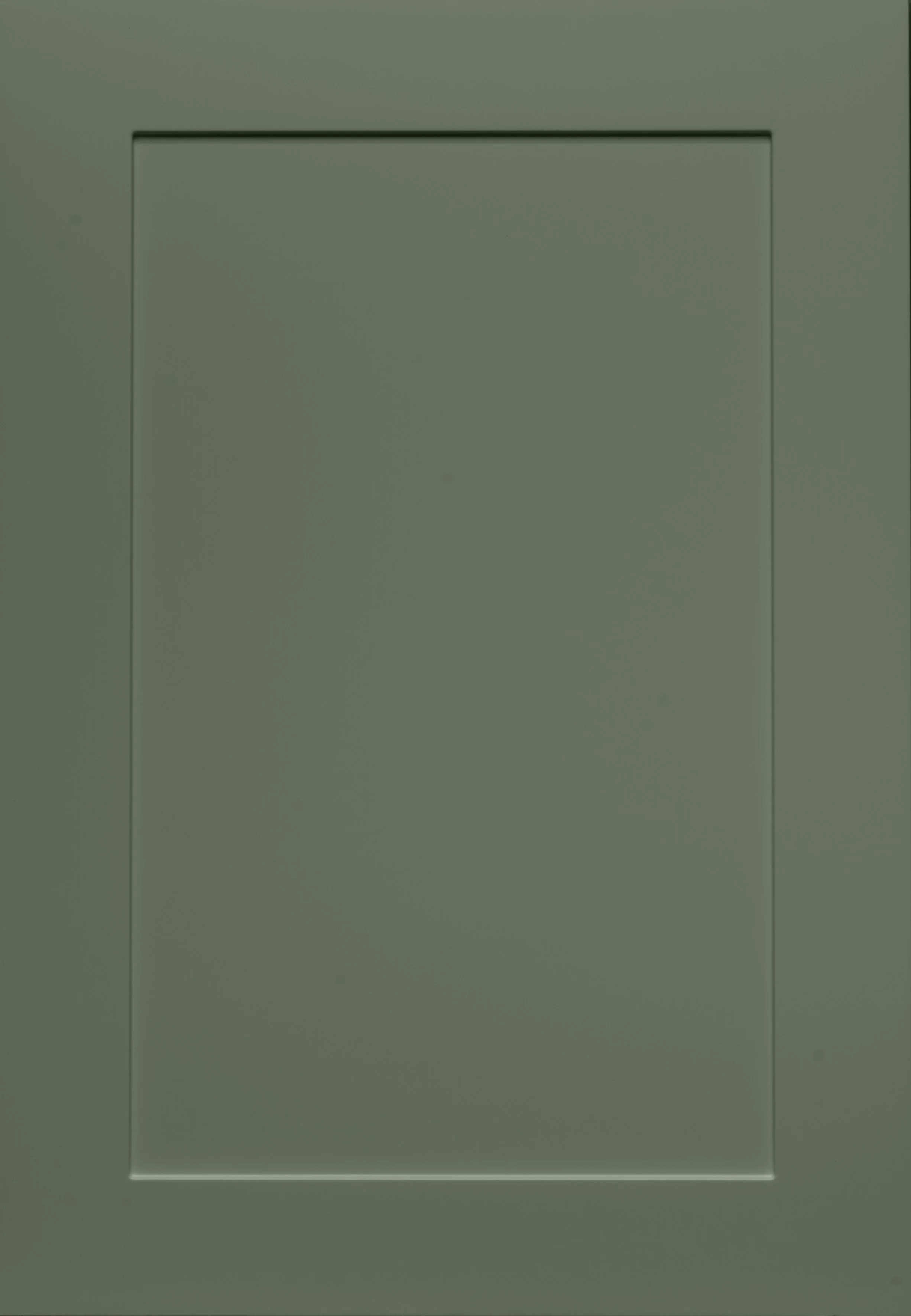 Green shaker-style cabinet door