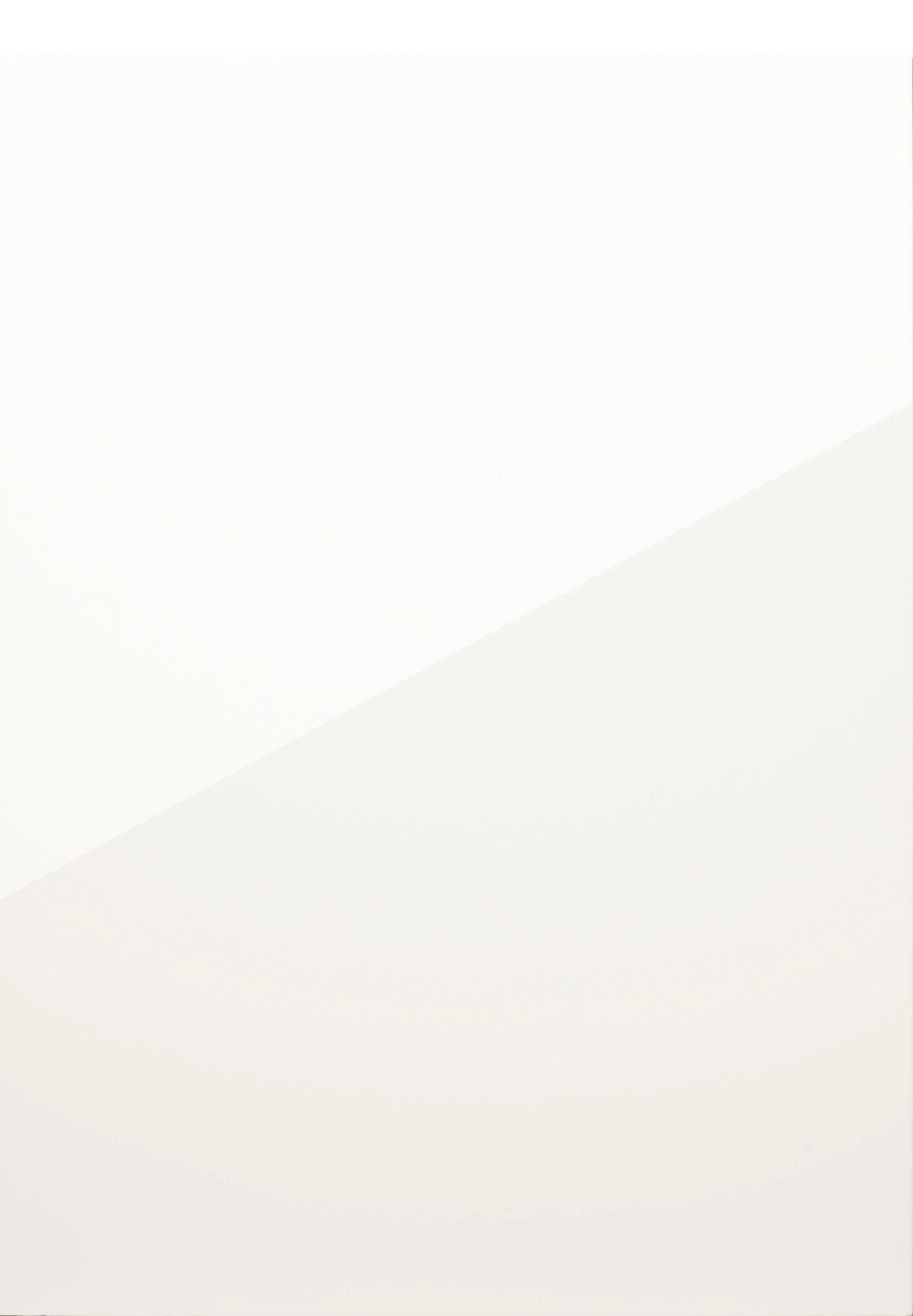 Remo Porcelain Gloss.jpg