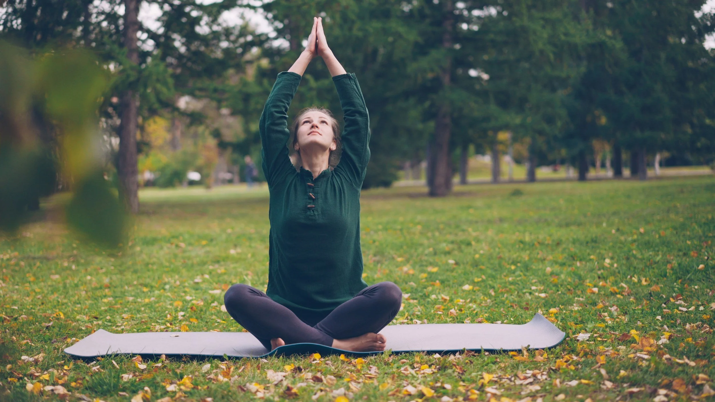 Healing from Within: Why Regenerative Health and Wellness is the Future of Healthcare