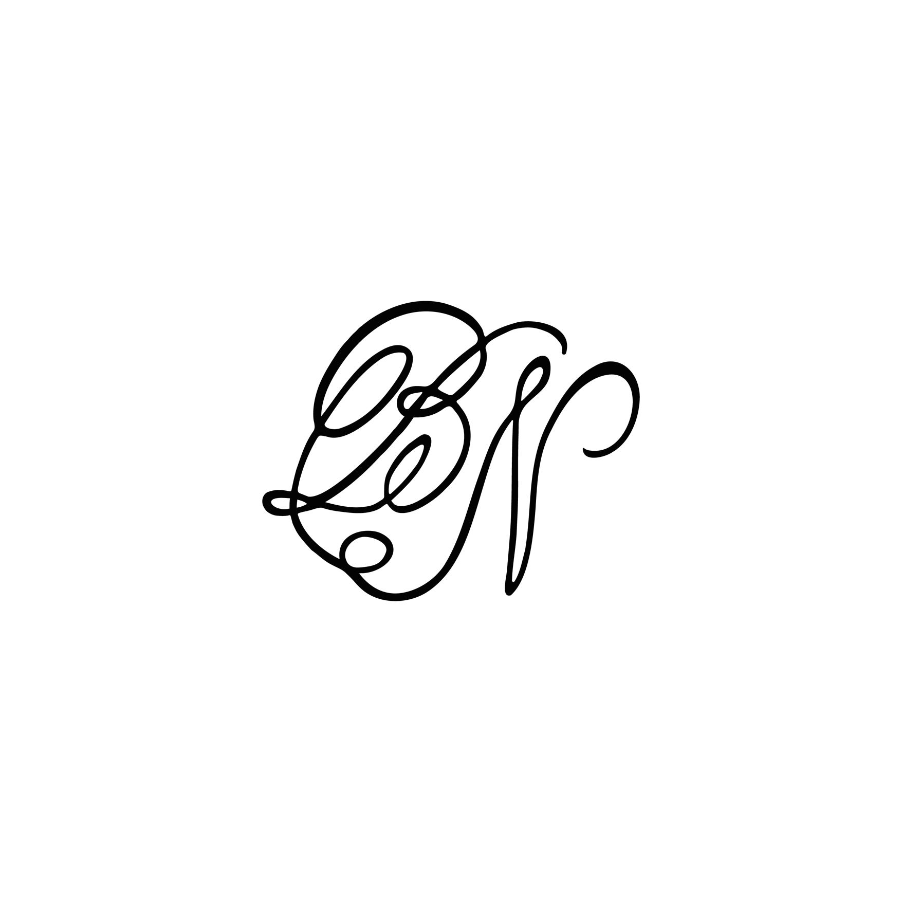 B&N-logo_Plan-de-travail-1-copie-2.png