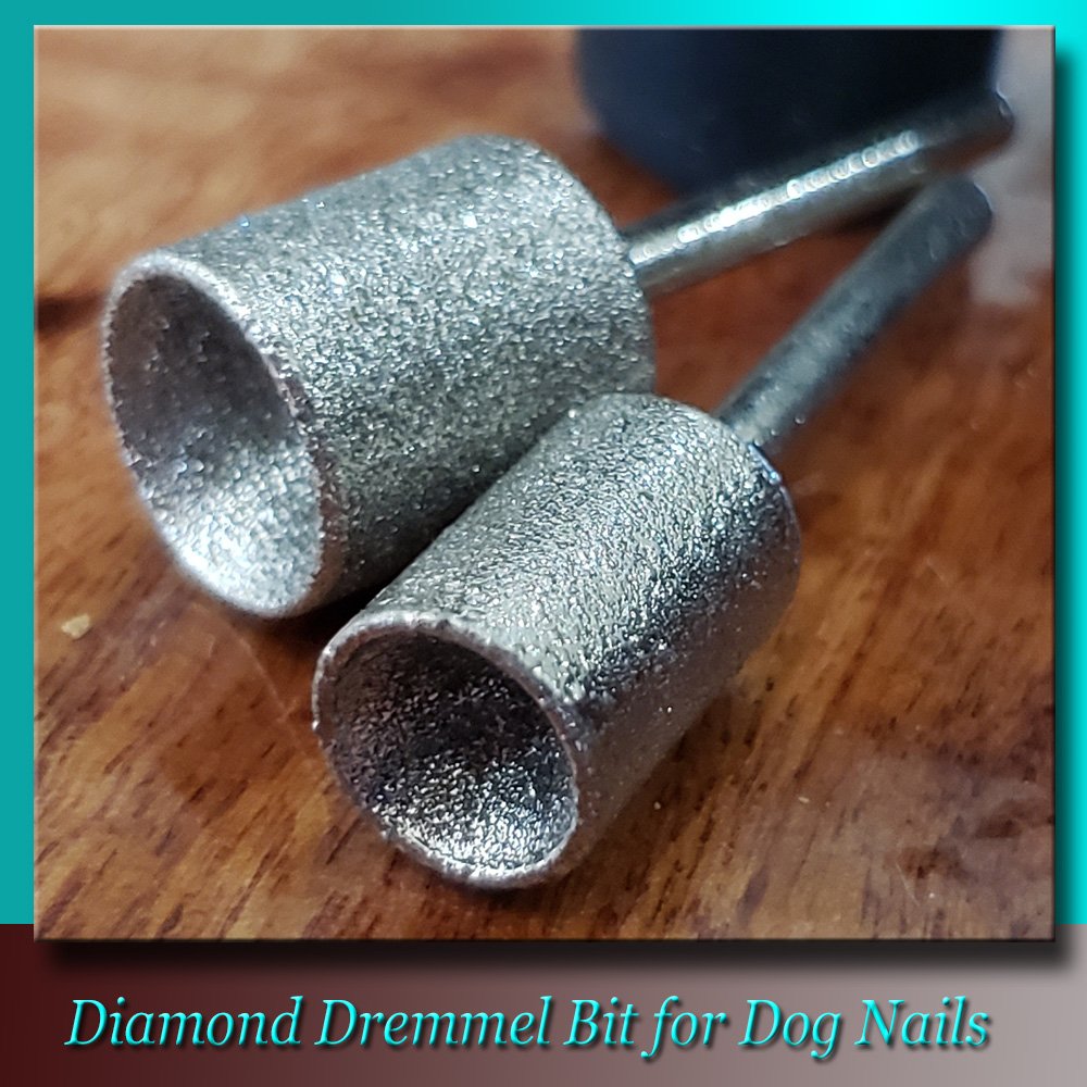 Diamond Dremel Bit for Dog Nail Grooming — Paws and Tails