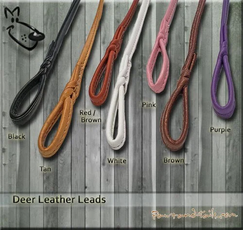 Deer Leather Dog Show Lead for Big Dogs — Paws and Tails