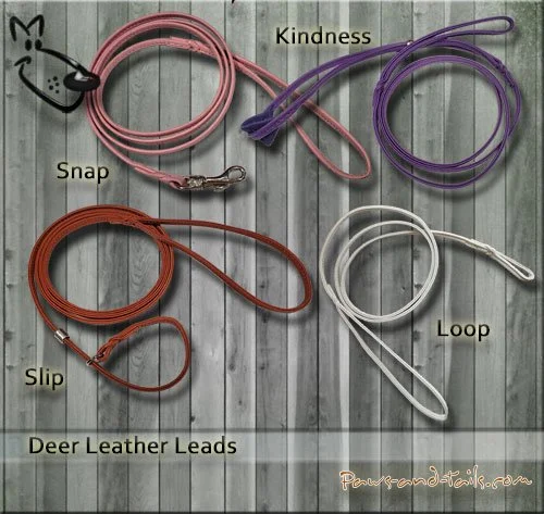 Deer Leather Dog Show Lead — Paws and Tails - Main Image