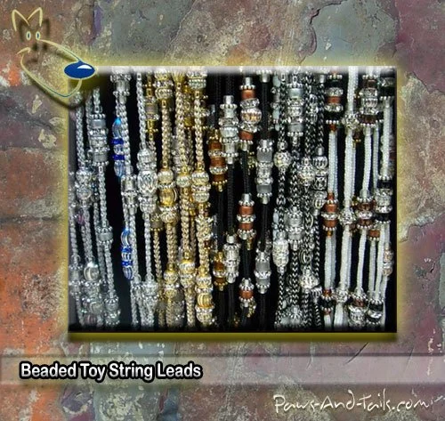 dildo string mit 2 dildos Toy Time Kids Bead and String Lacing Toy-Set with 30 Wooden Beads, 2 Strings,  and Storage Box-Fun and Creative STEM Activity for Preschoolers Creative  play at Lowes.com
