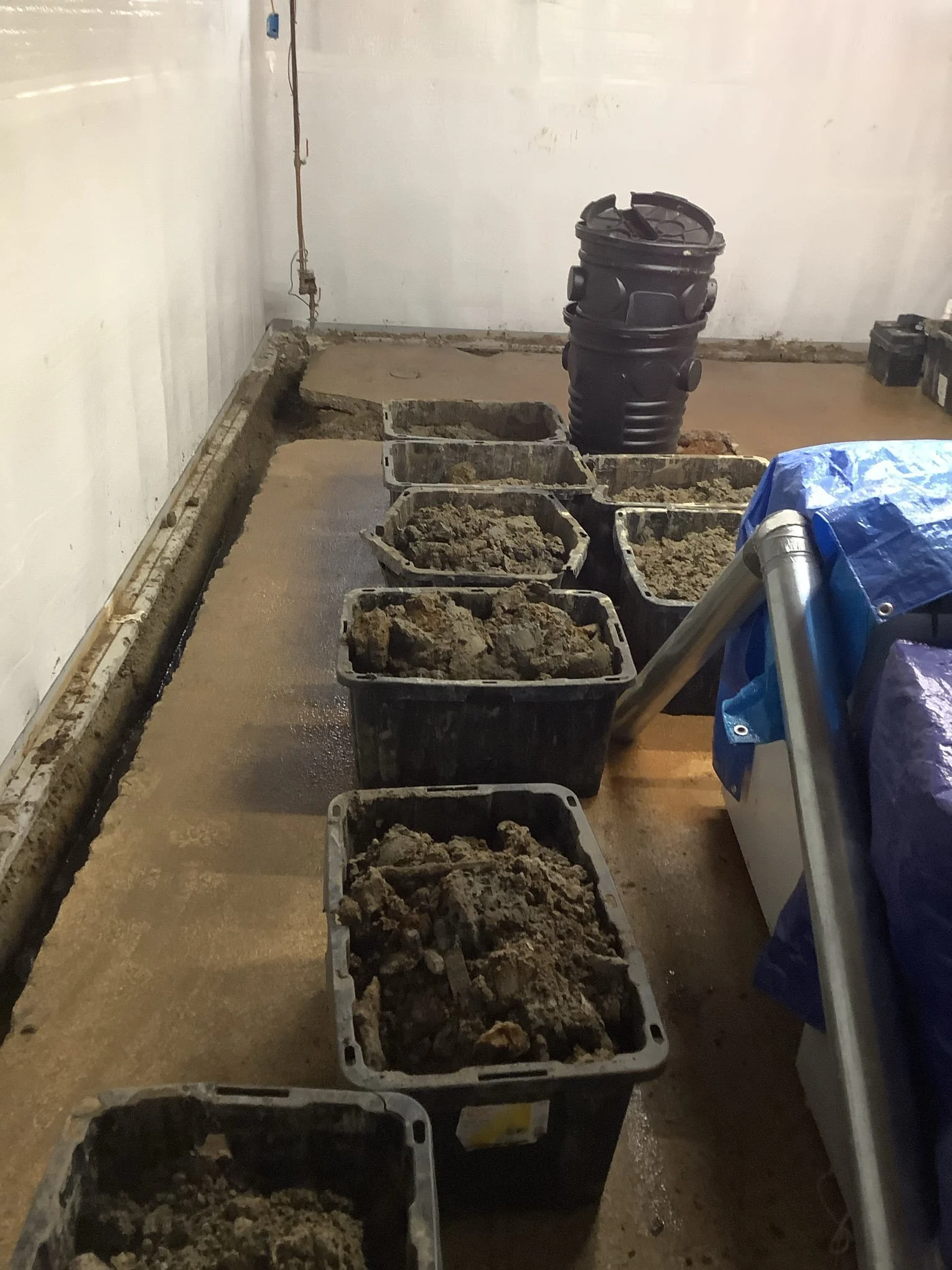 Completed basement waterproofing system in Fraser, Michigan with drain tile, sump pump, and vapor barrier installed.