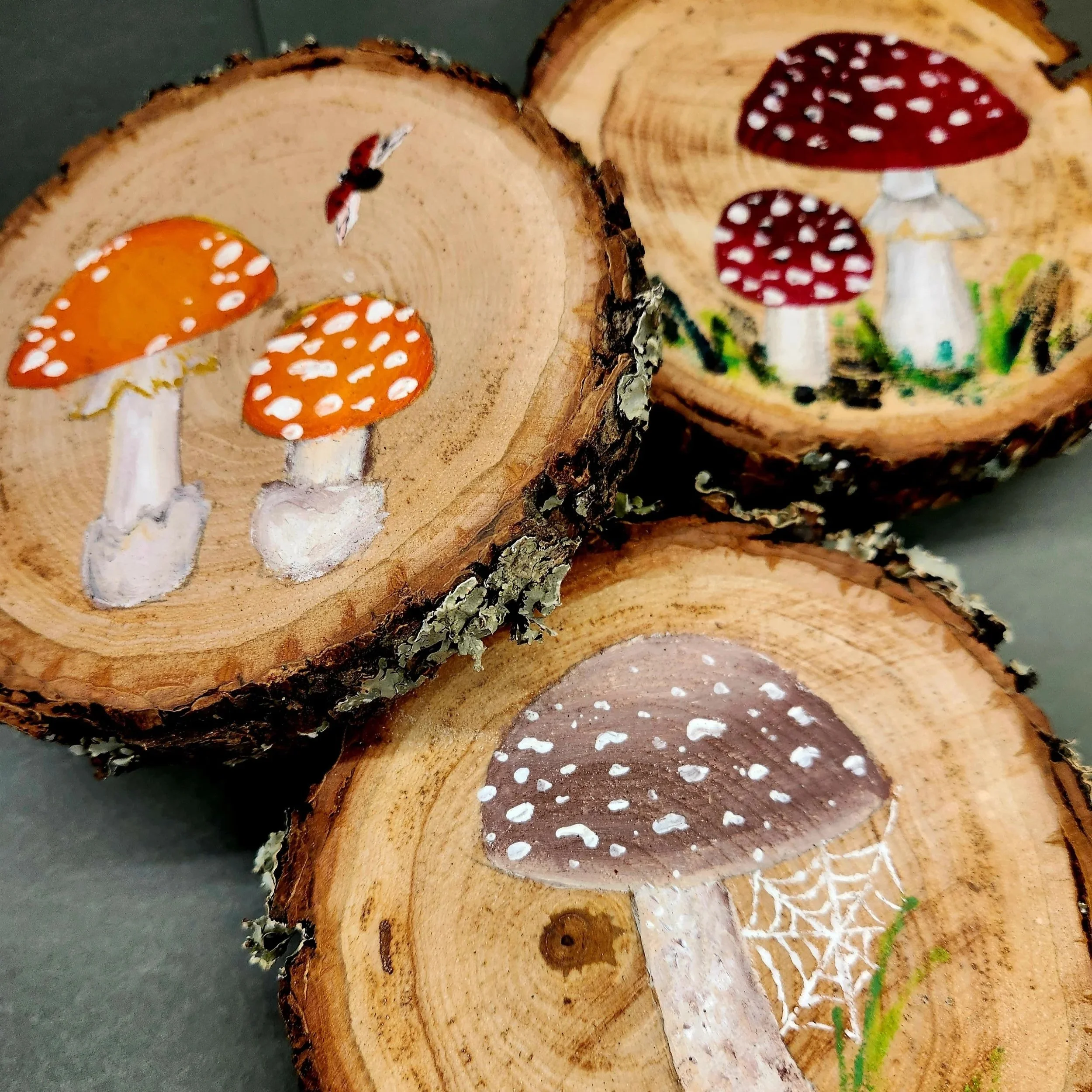 Hand Painted Mushroom Magnets