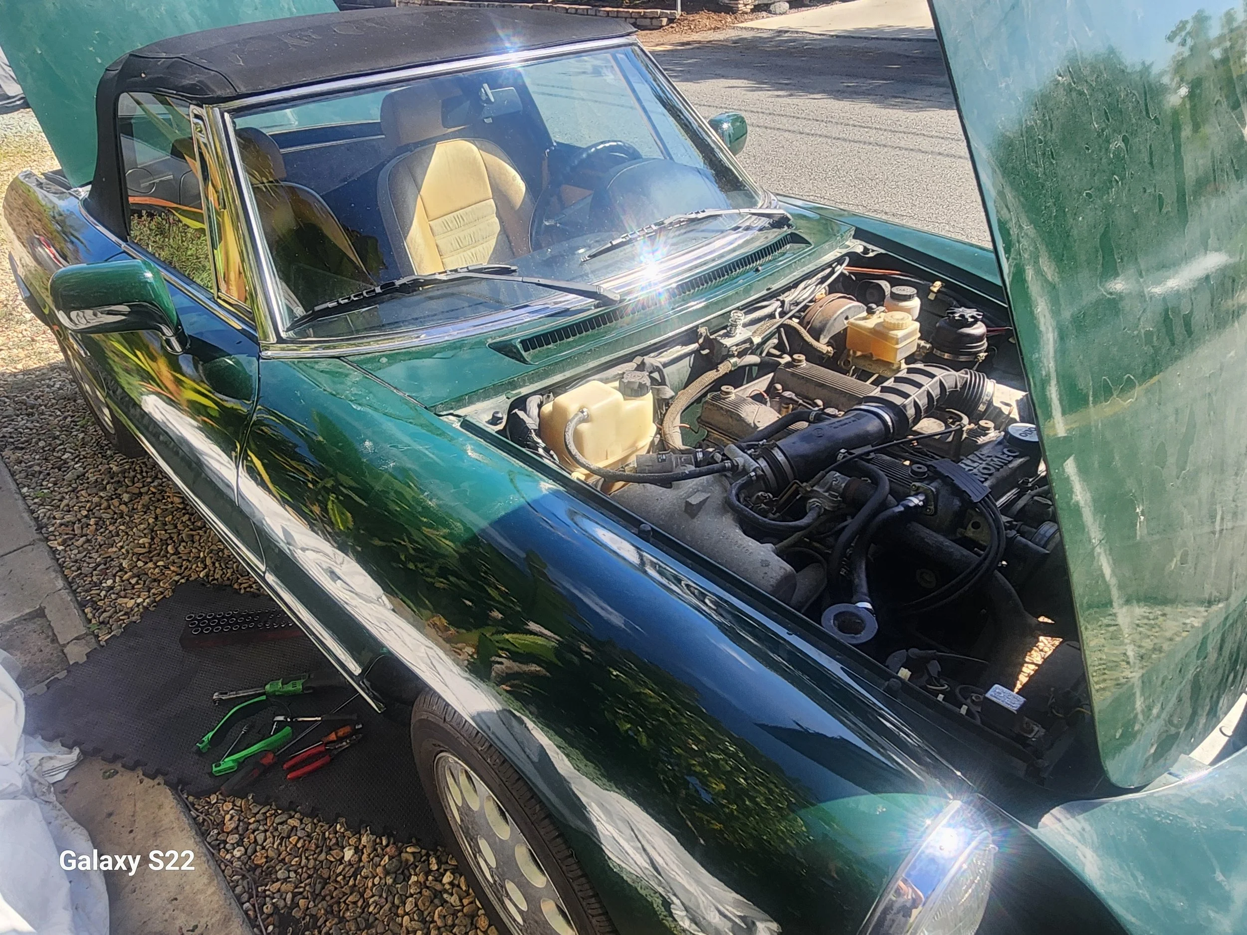 Alfa Romeo Spyder fuel pump service