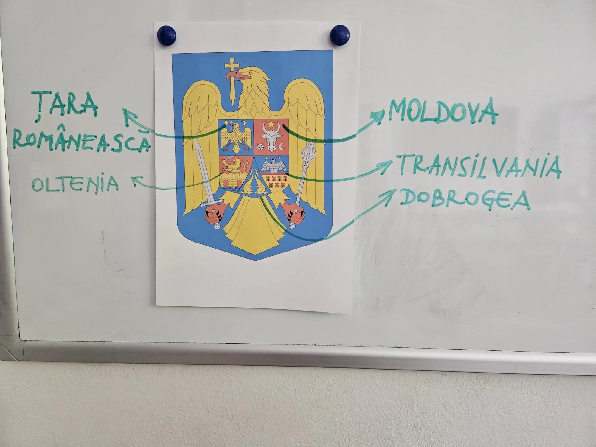 WhatsApp Image 2025-05-25 at 15.20.19(5).jpeg