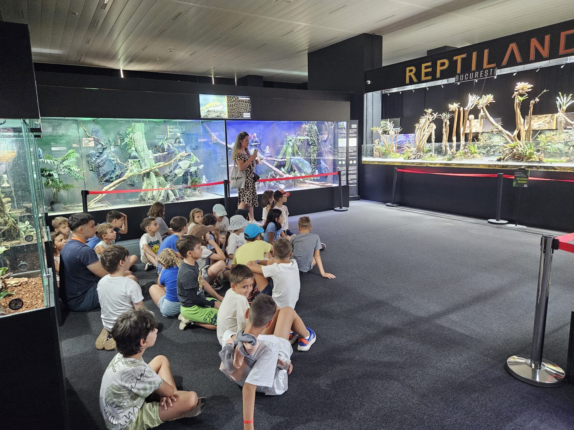 reptiland coolture minds (3).jpeg