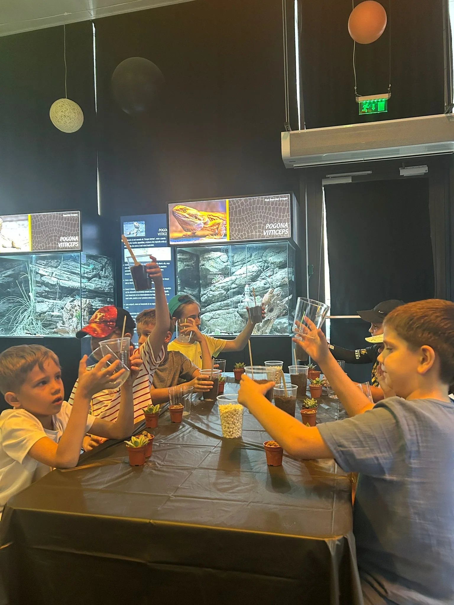 reptiland coolture minds (8).jpeg