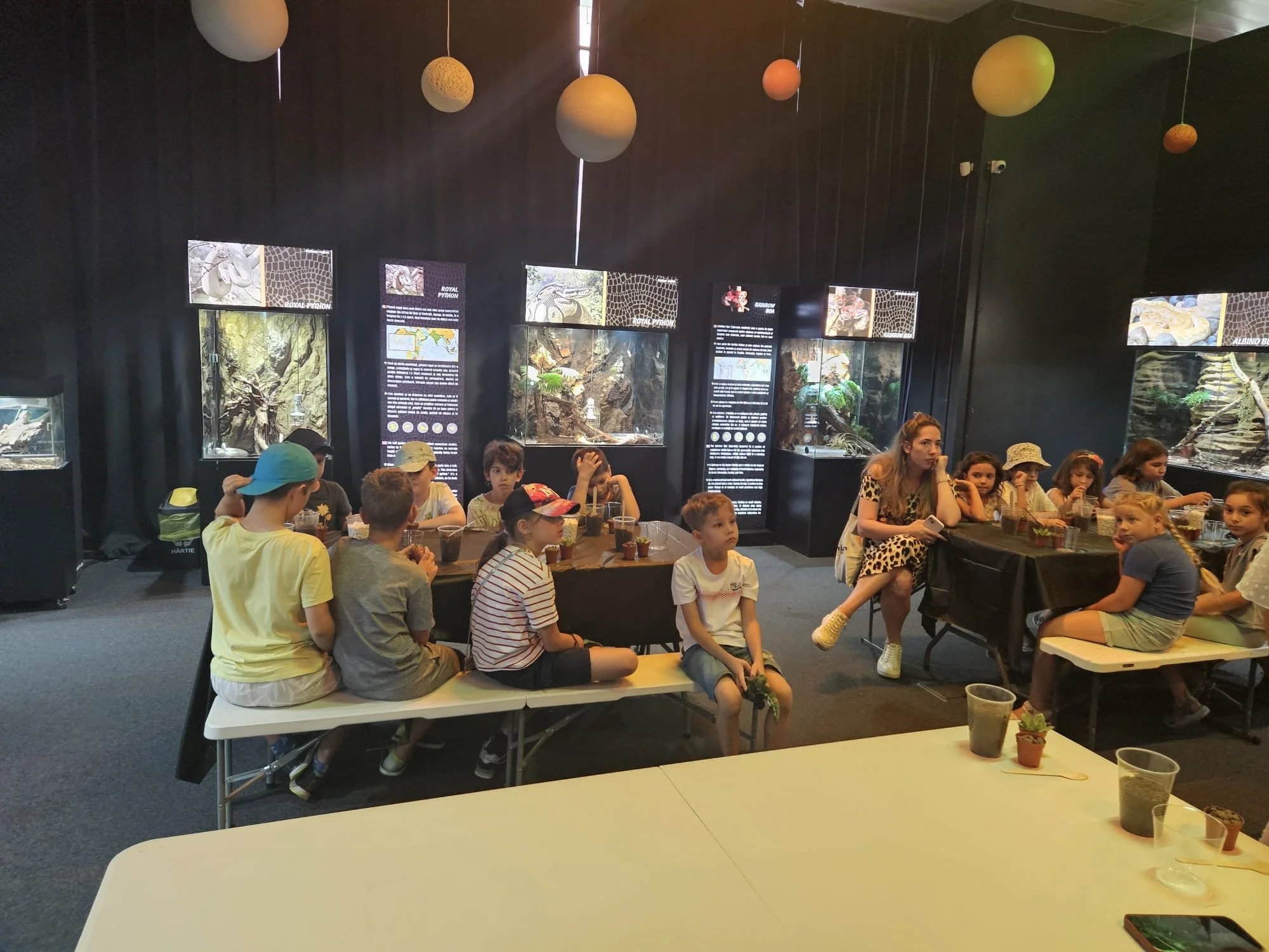 reptiland coolture minds (9).jpeg