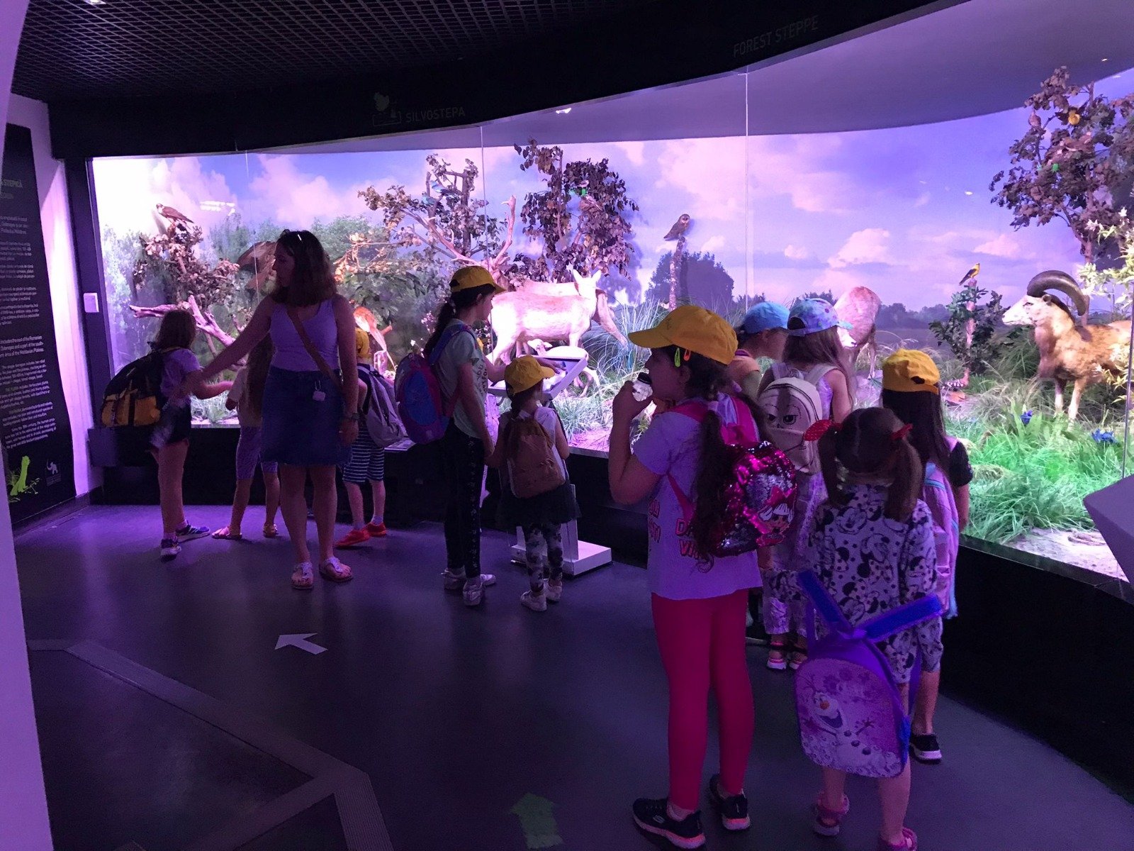 Children and an adult observing a museum display of wild animals and birds in a diorama setting, with realistic foliage and landscape.