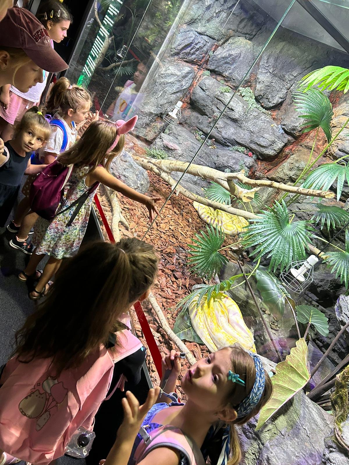 Children observing a large yellow snake in a zoo exhibit