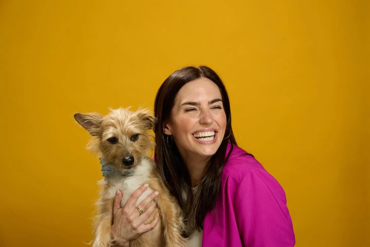 When I grow up I hope to be as photogenic as my dog😅

We took headshots this week. Not pictured: my incredible colleague shaking a bag of treats and squeaking a squeaky toy to make this happen. Even in the chair I won&rsquo;t shut up 🤦🏻&zwj;♀️

Ha