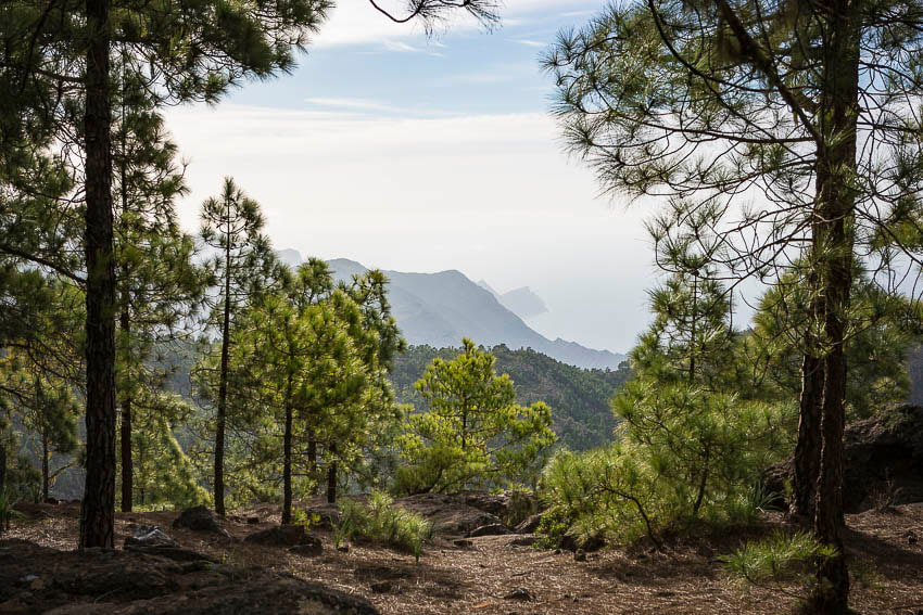 Pentaprisma Photo Tours in Gran Canaria
