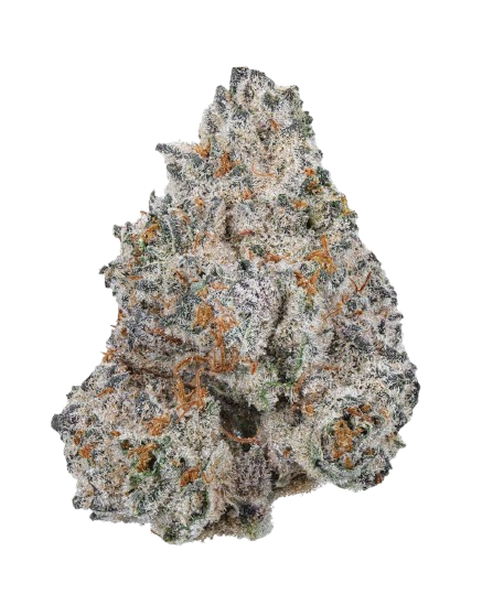 White_Truffle-removebg-preview.png