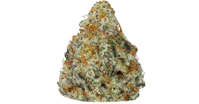 Kentucky_Blue_Grass-removebg-preview.png