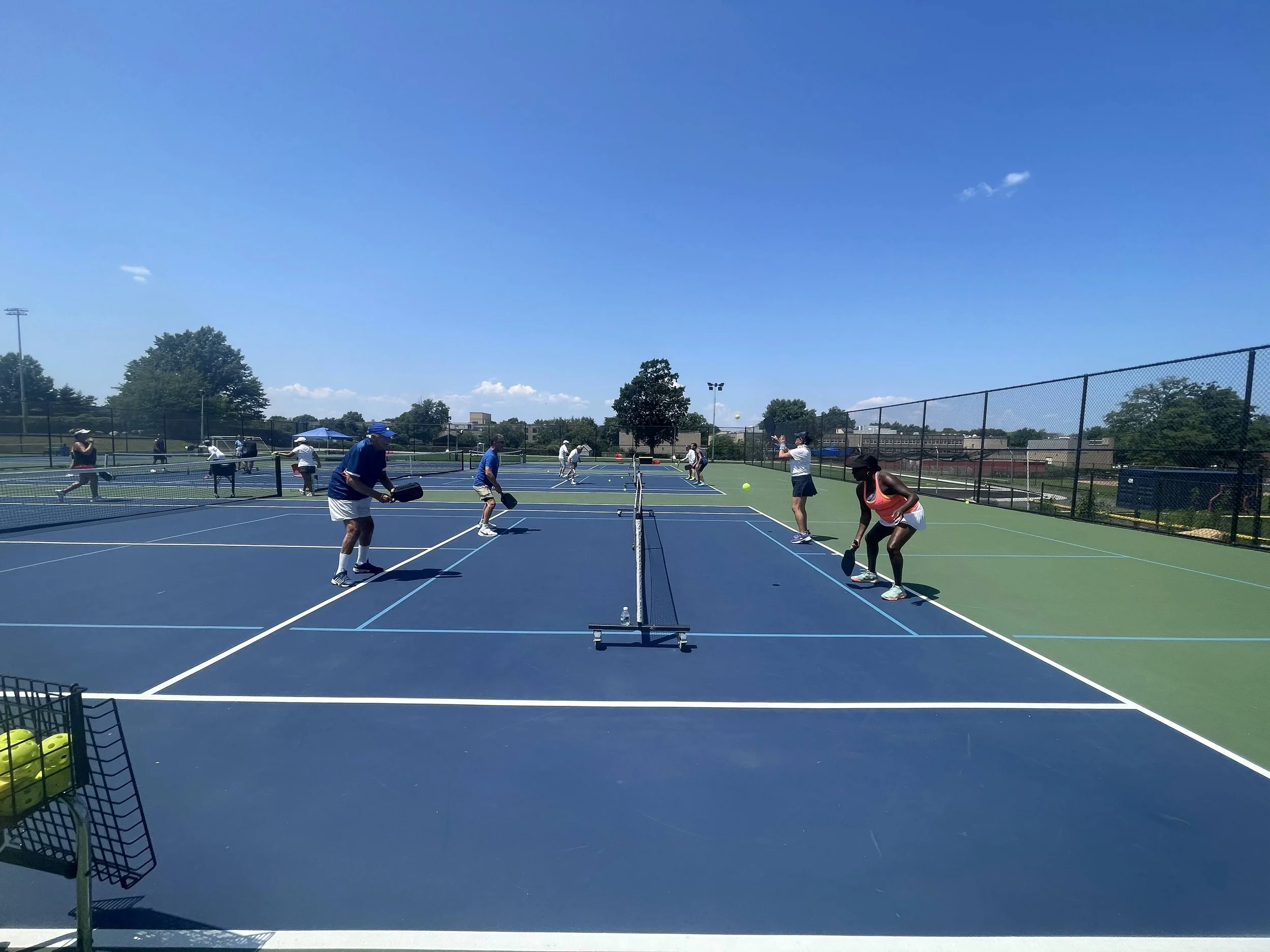 Beginner Pickleball Programs — Aptc