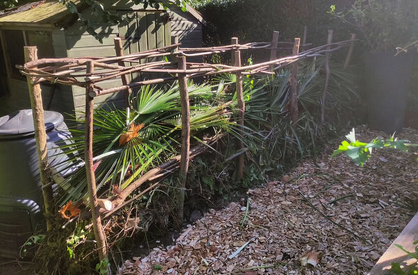 Todays dead hedge complete with fan palm leaves which is a first for me 😂 plenty of space left for the owners to fill up with hedge clippings and prunings.
.
.
#deadhedge #wildlifegardening #wildlifehabitat #invertebrates #ecogarden